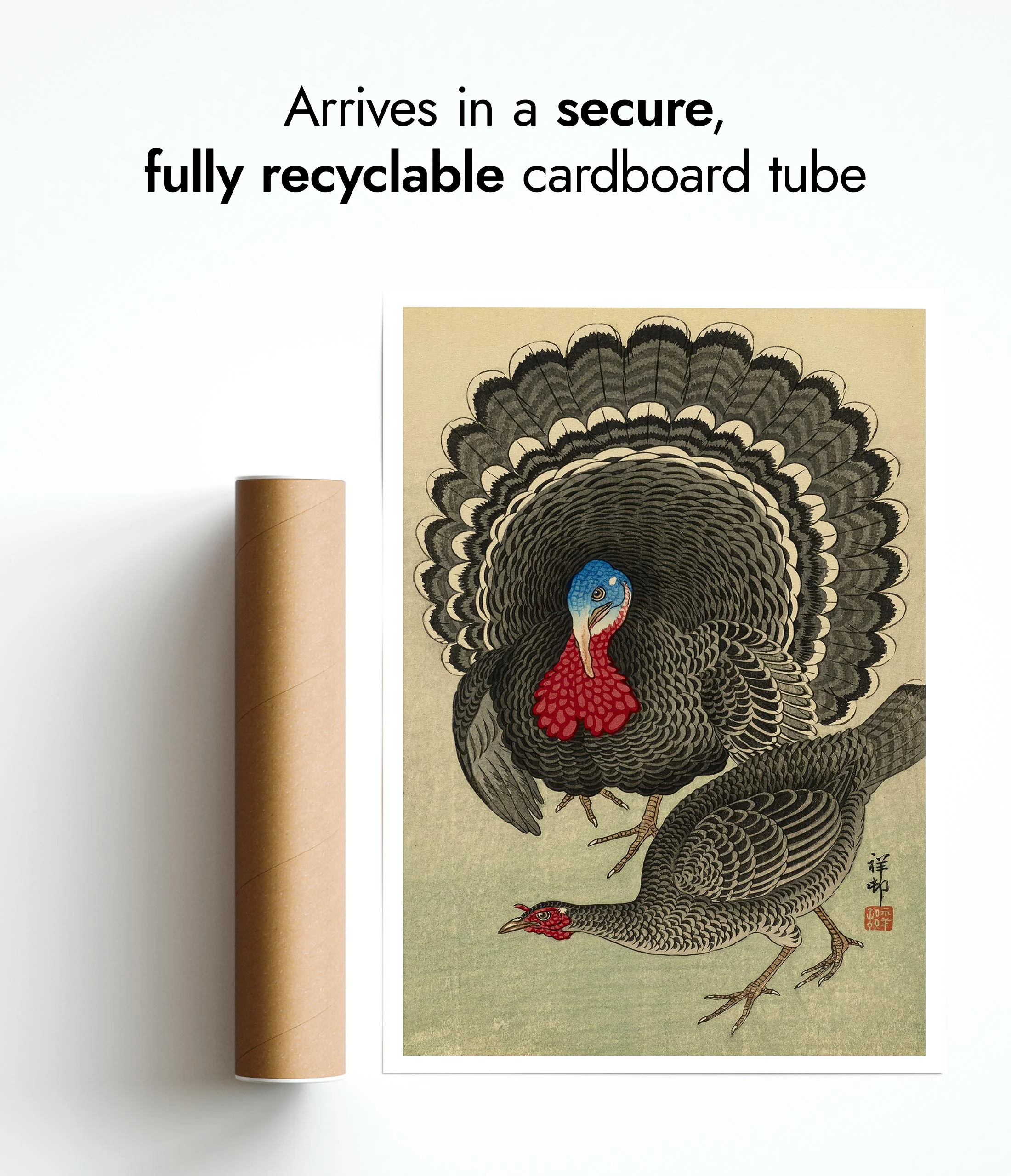 Turkey & Hen - Image 9