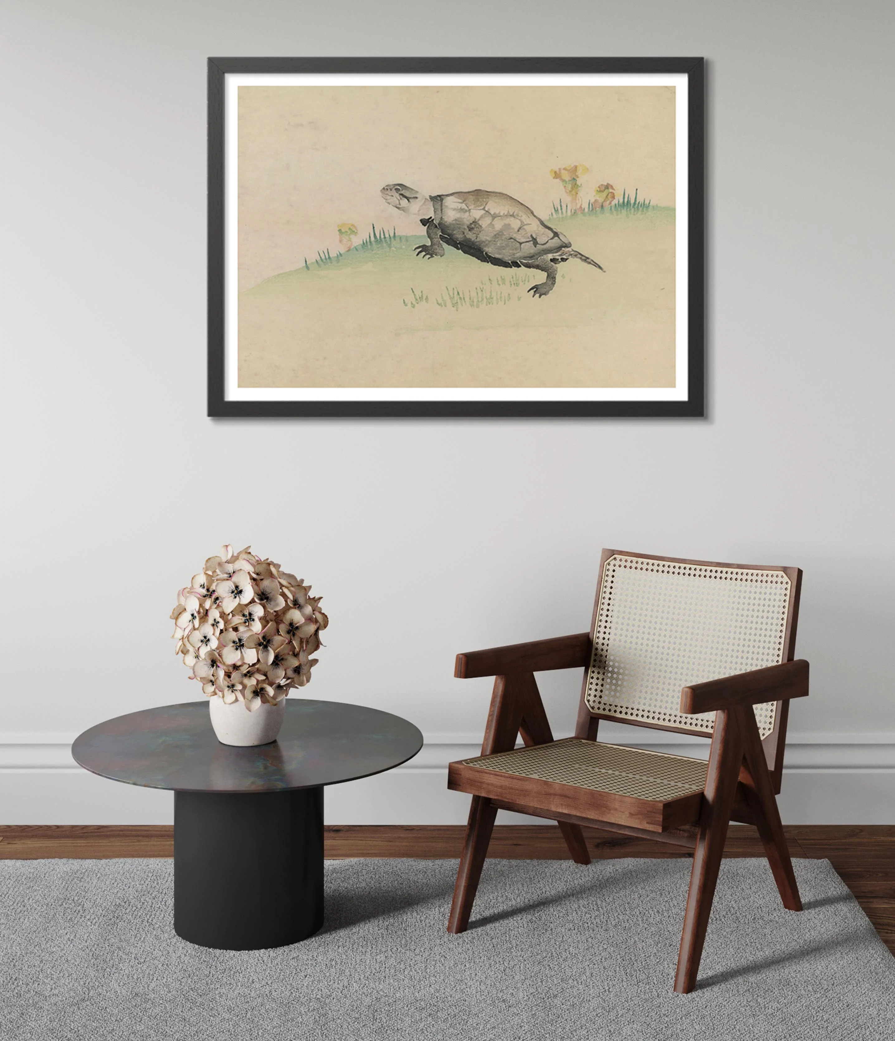 Turtle - Image 5