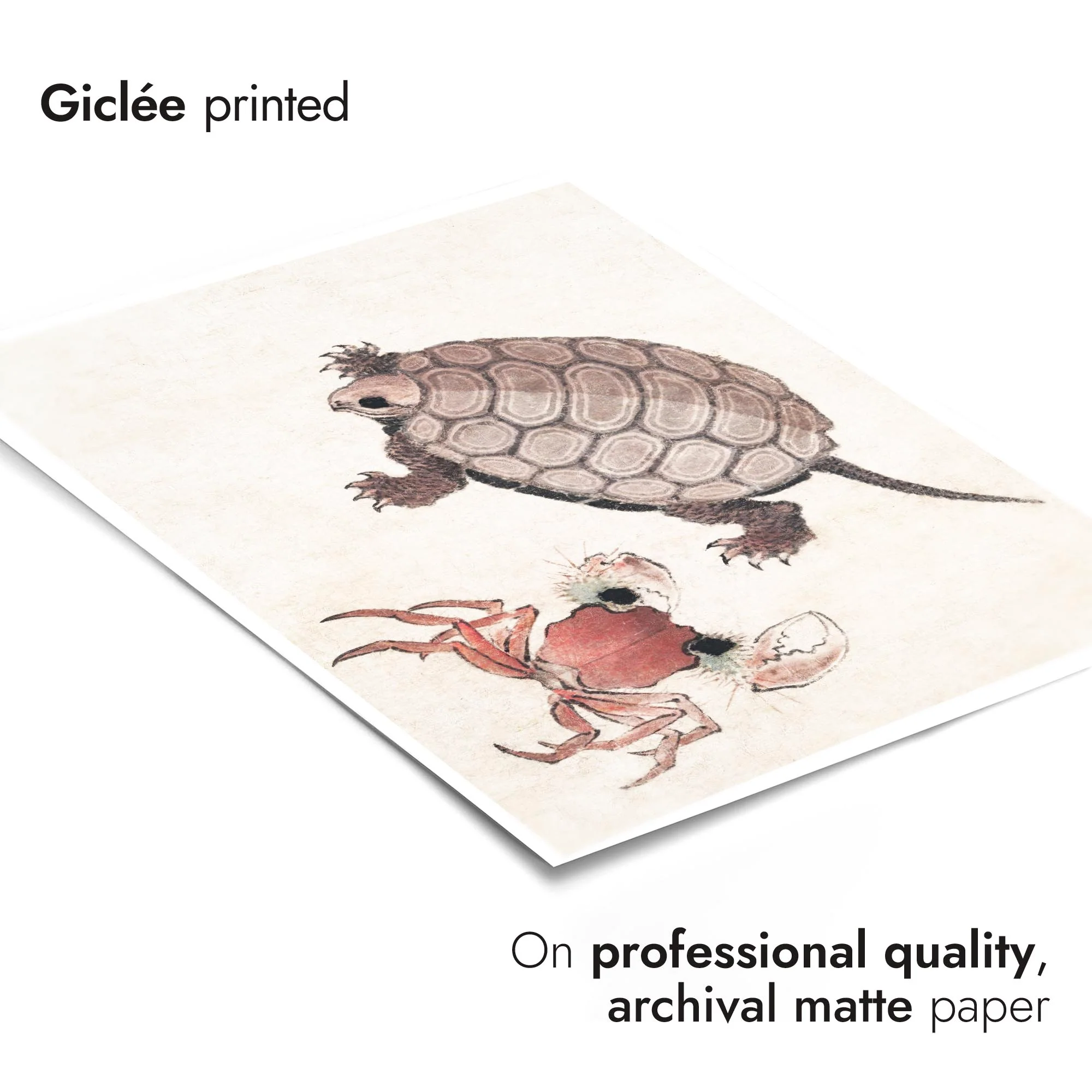 Turtle & Crab - Image 6