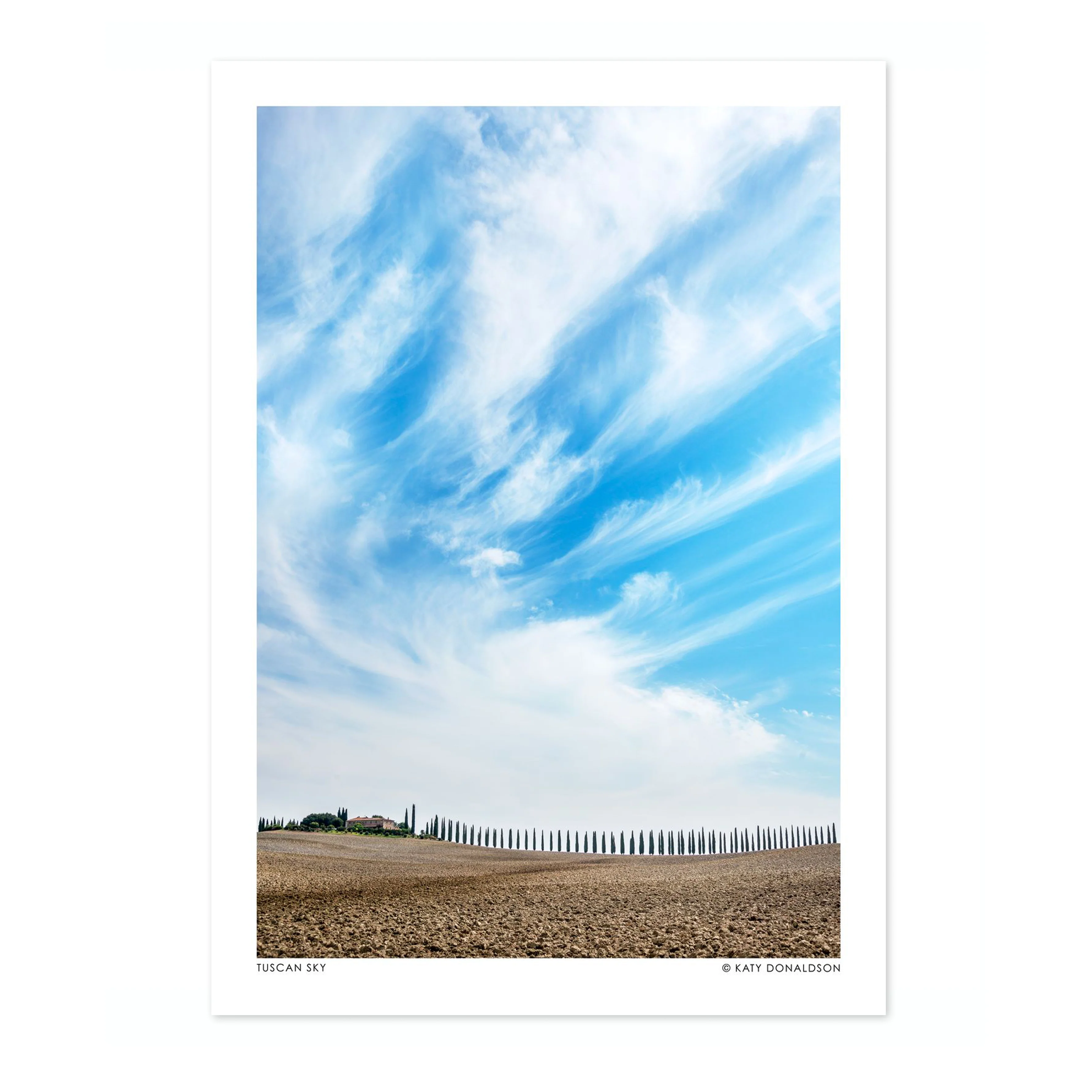 Tuscan Sky Portrait - Image 4