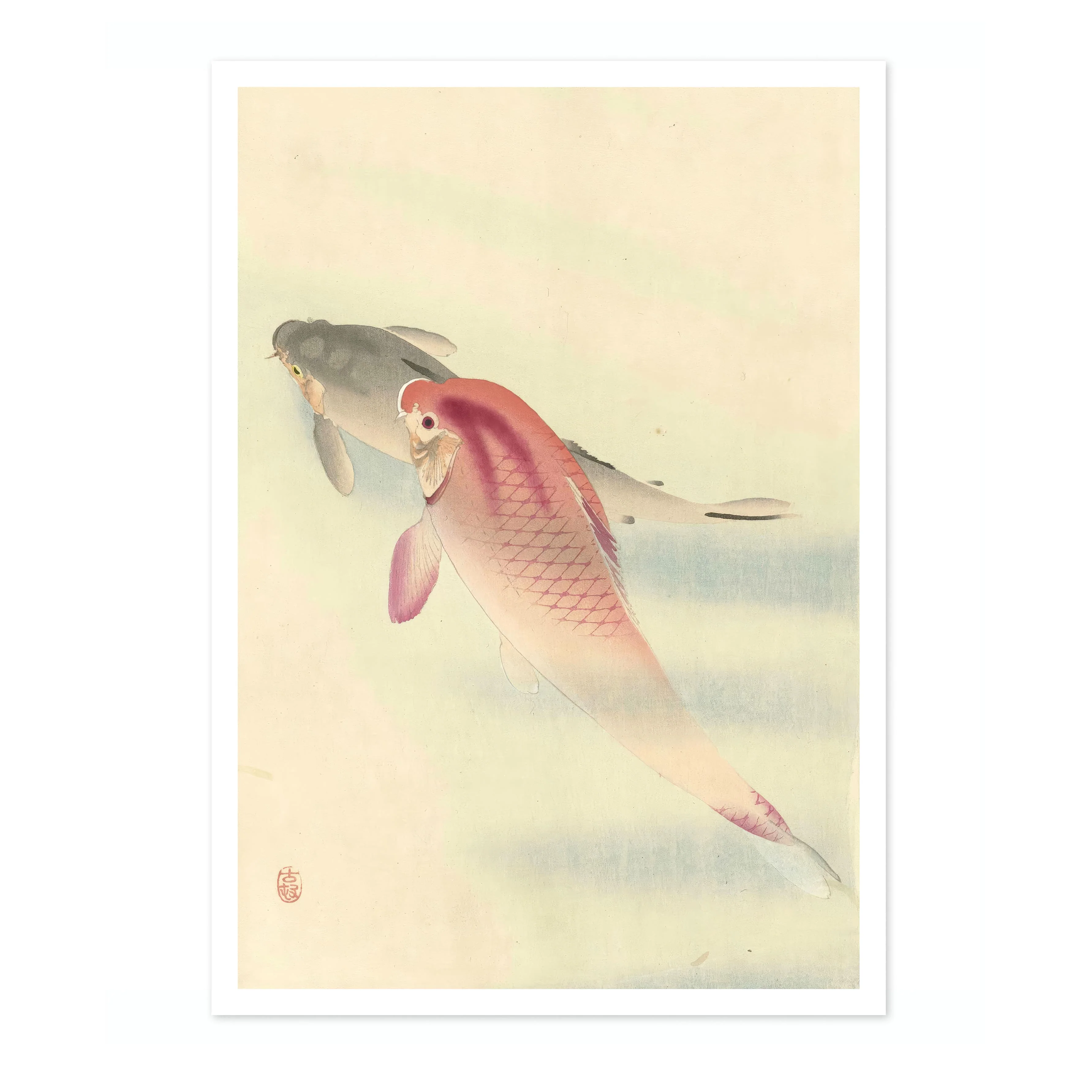 Two Carp - Image 4
