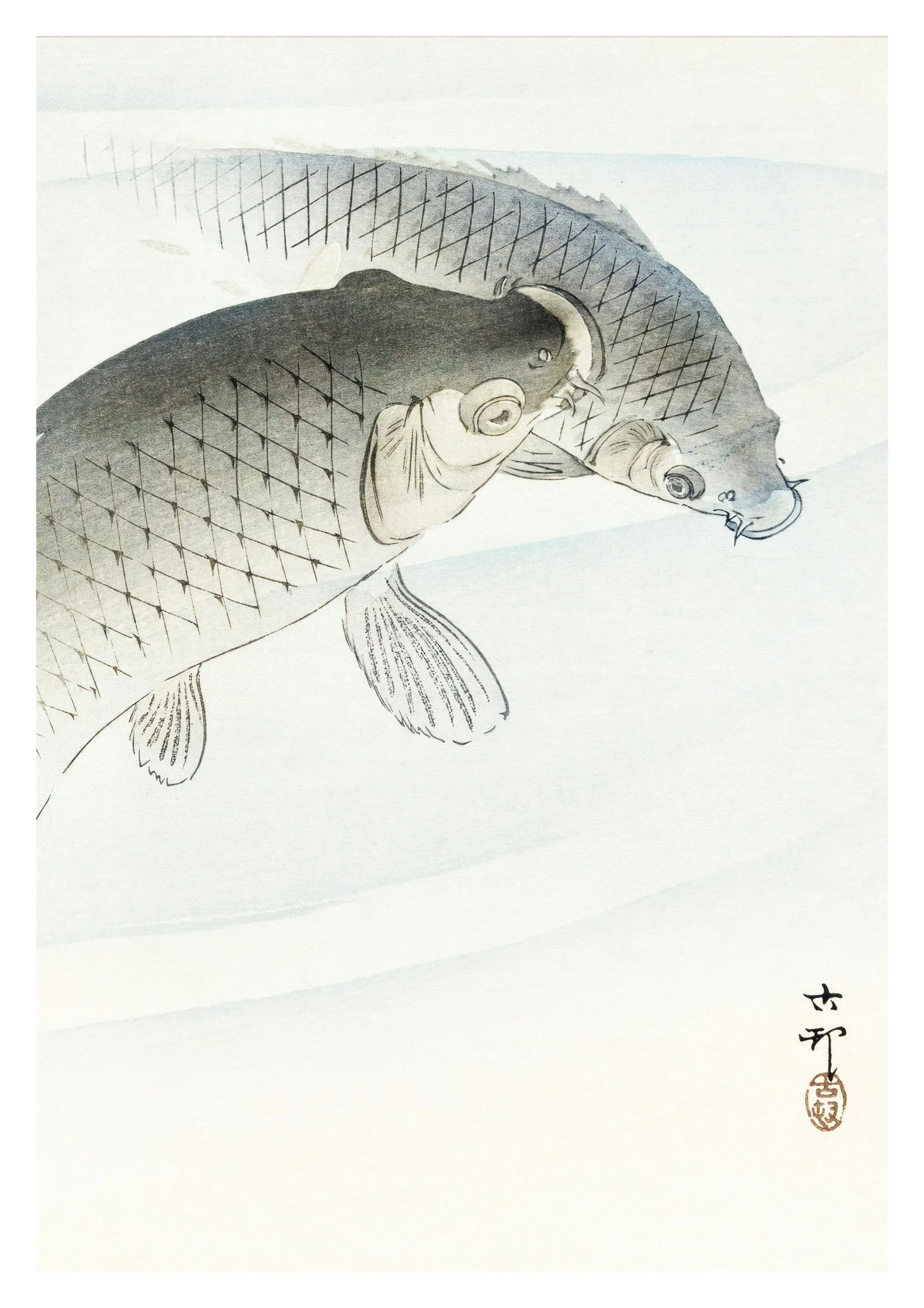 Two Carp