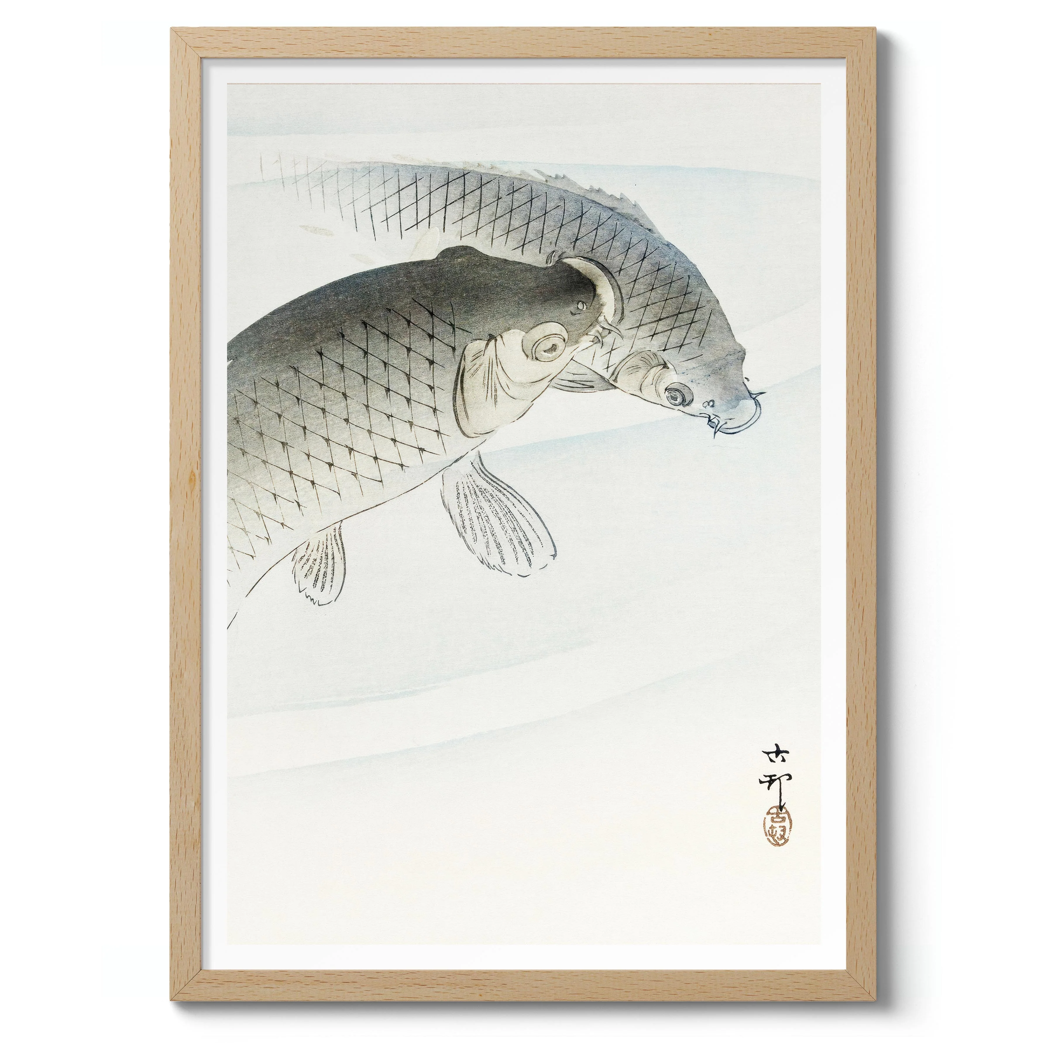 Two Carp - Image 3