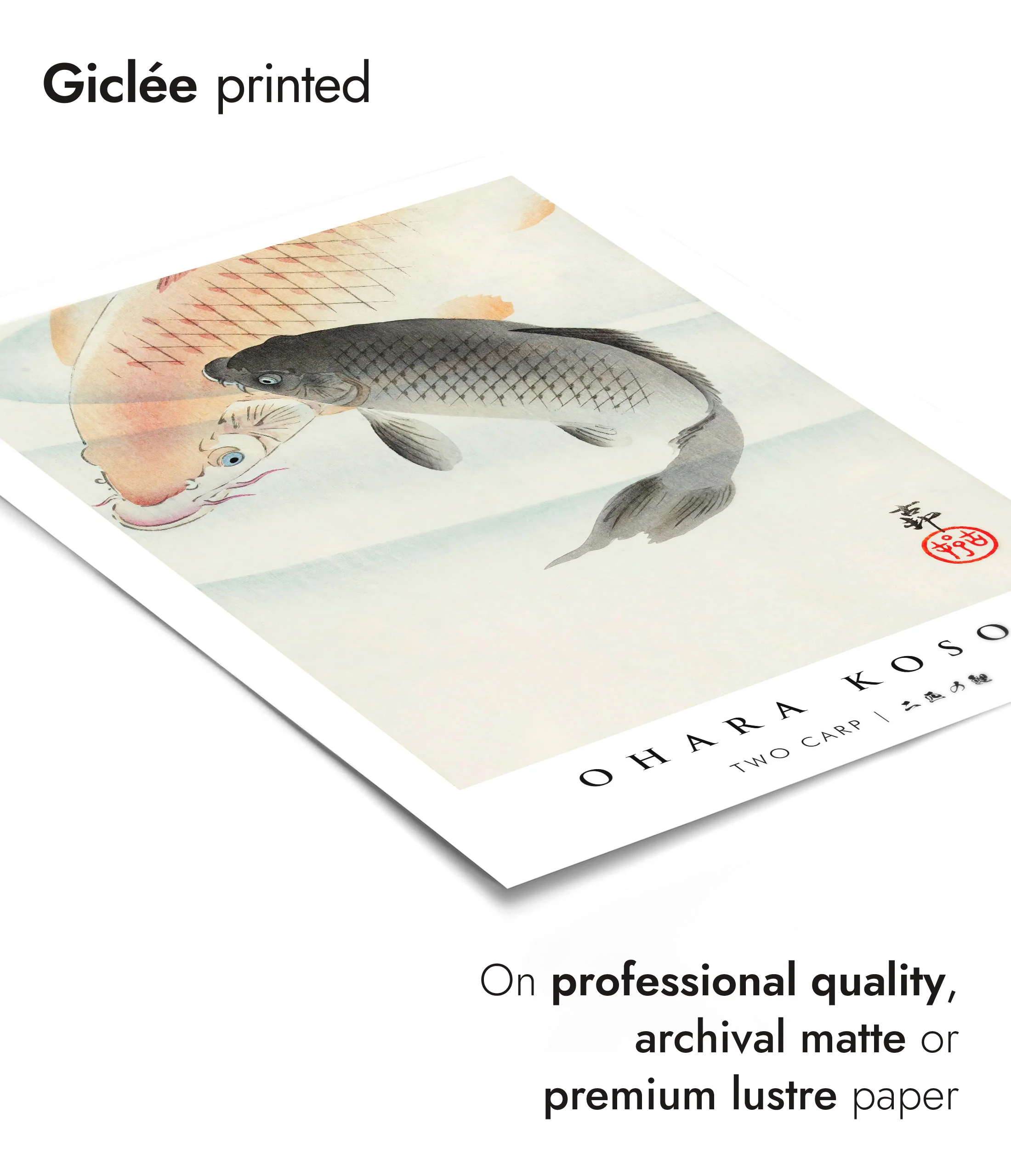 Two Carp - Image 6