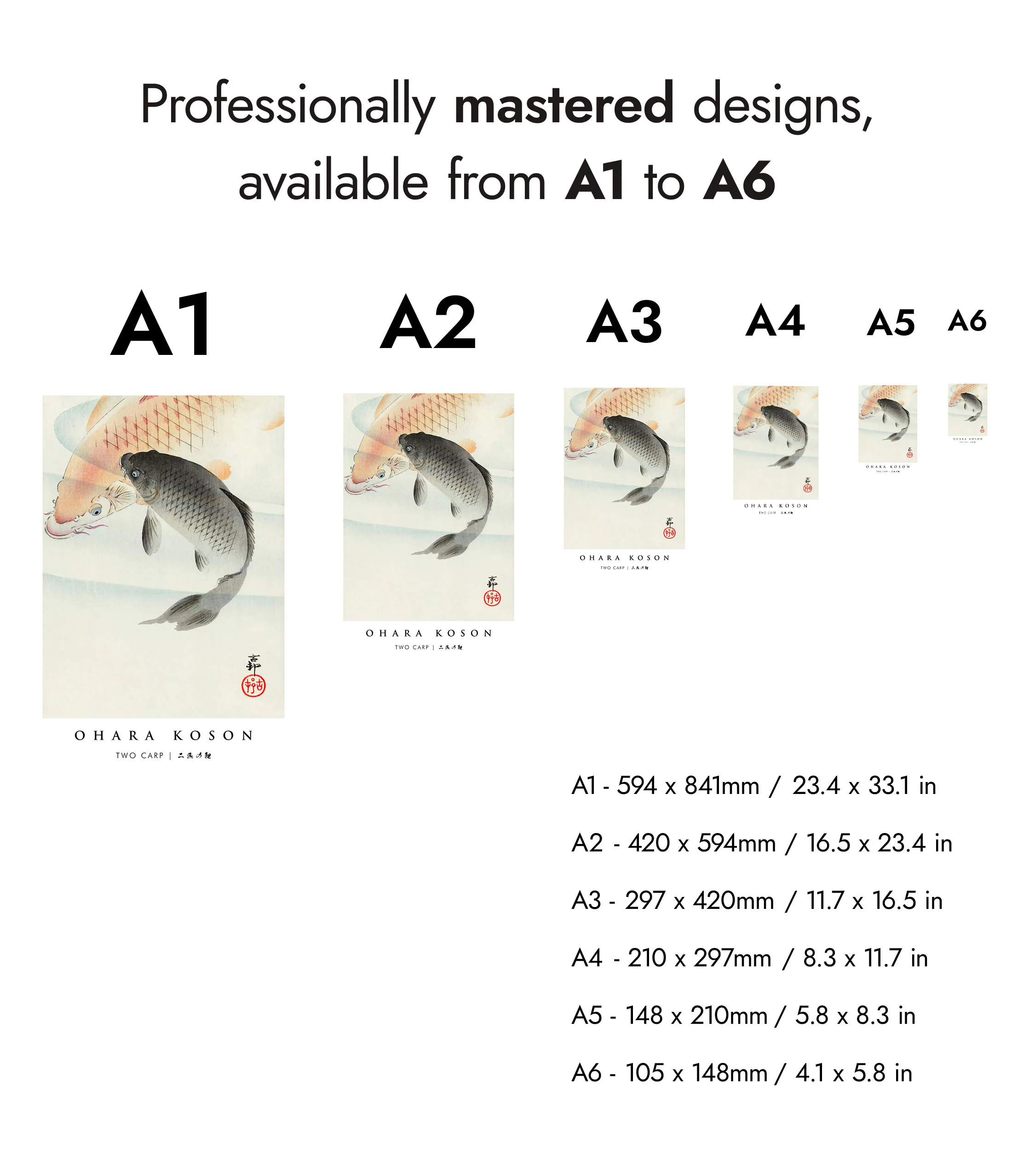 Two Carp - Image 8