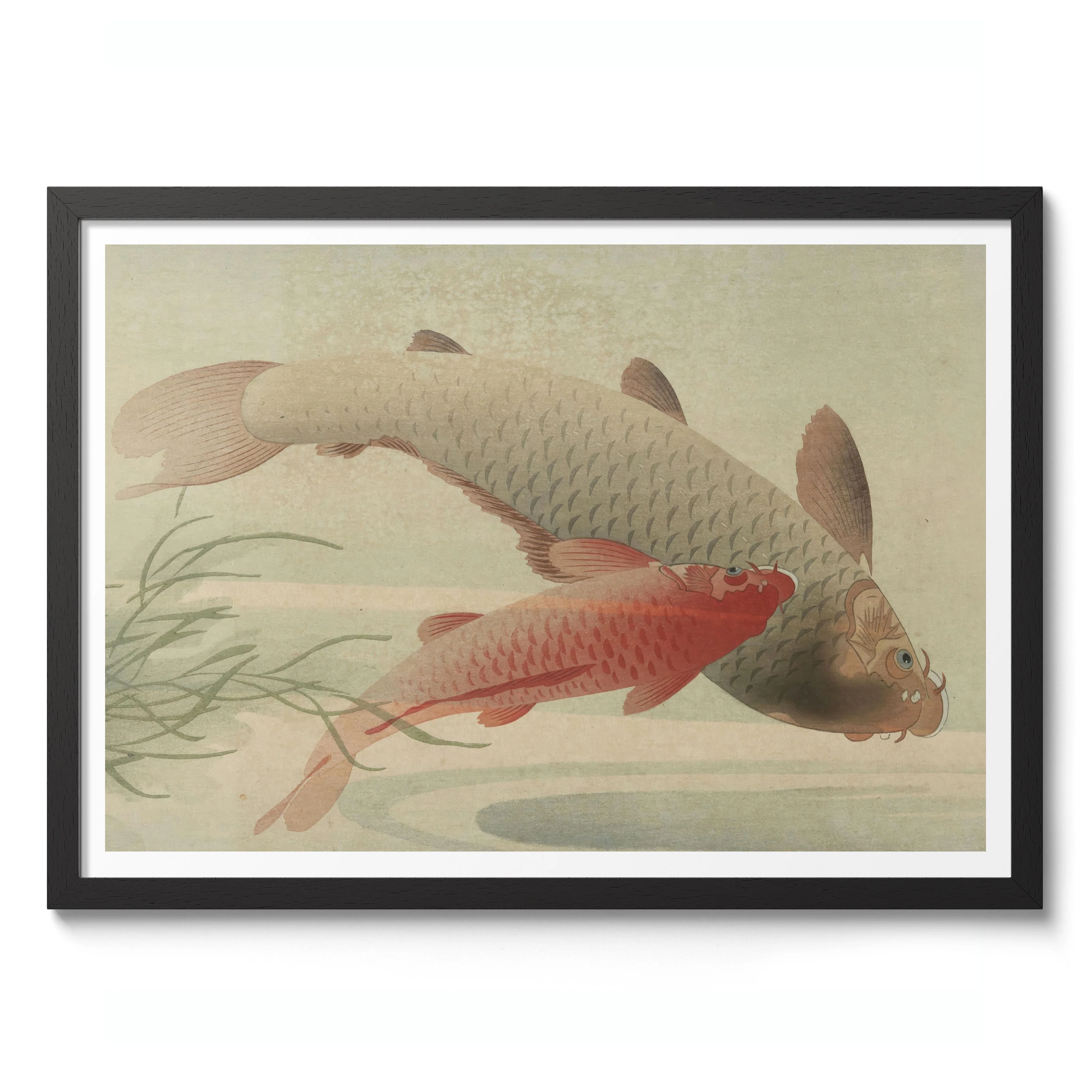 Two Carp & Water Weed - Image 2
