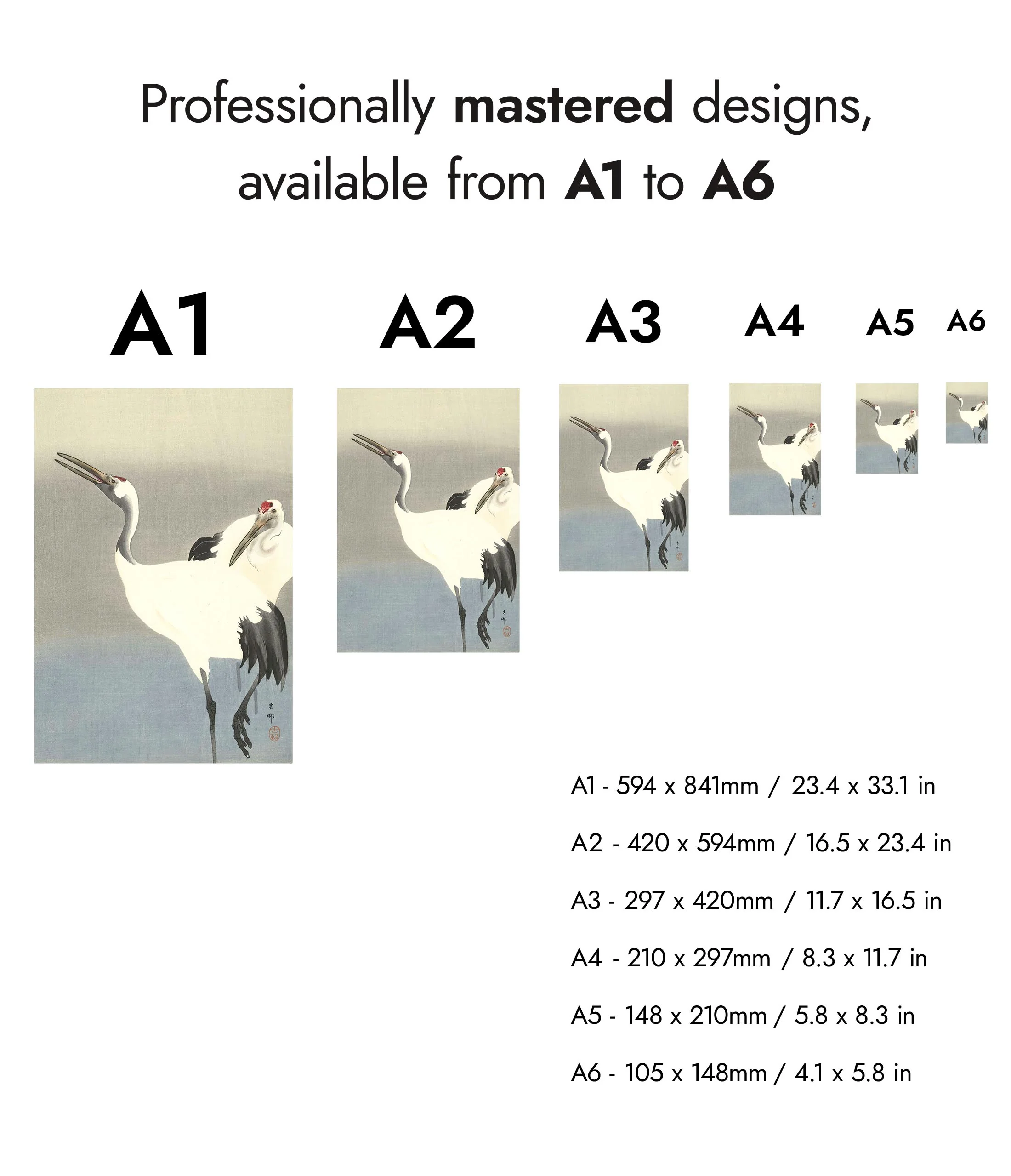 Two Cranes - Image 8