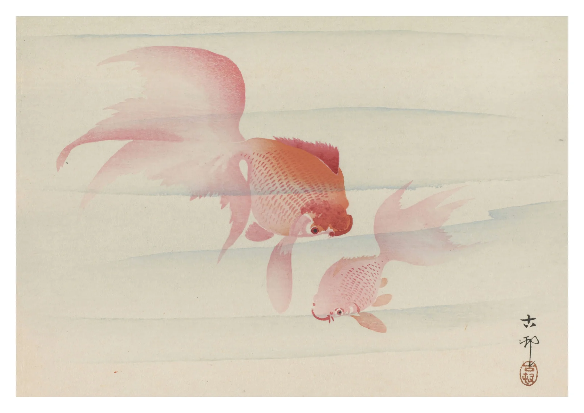 Two Goldfish