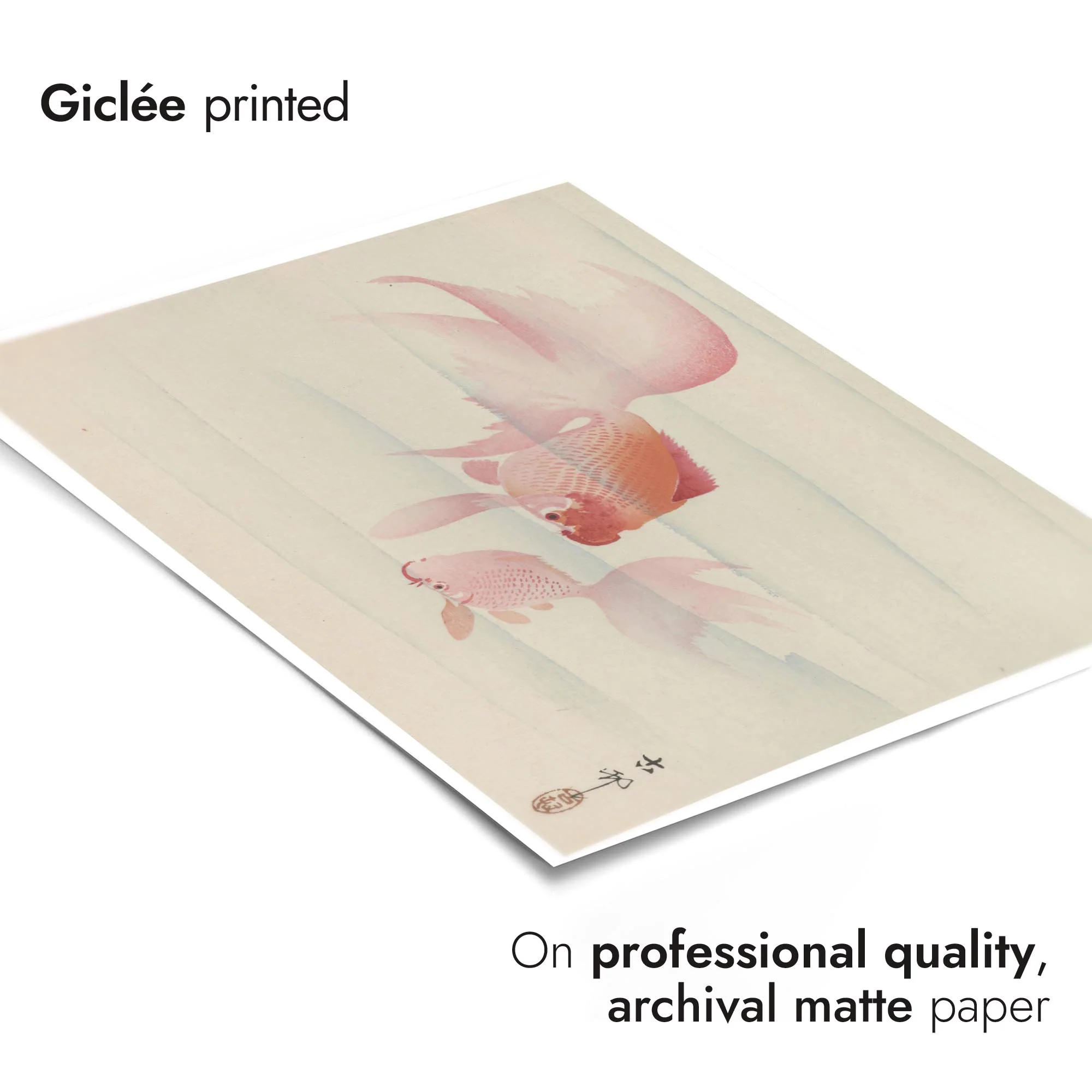 Two Goldfish - Image 6