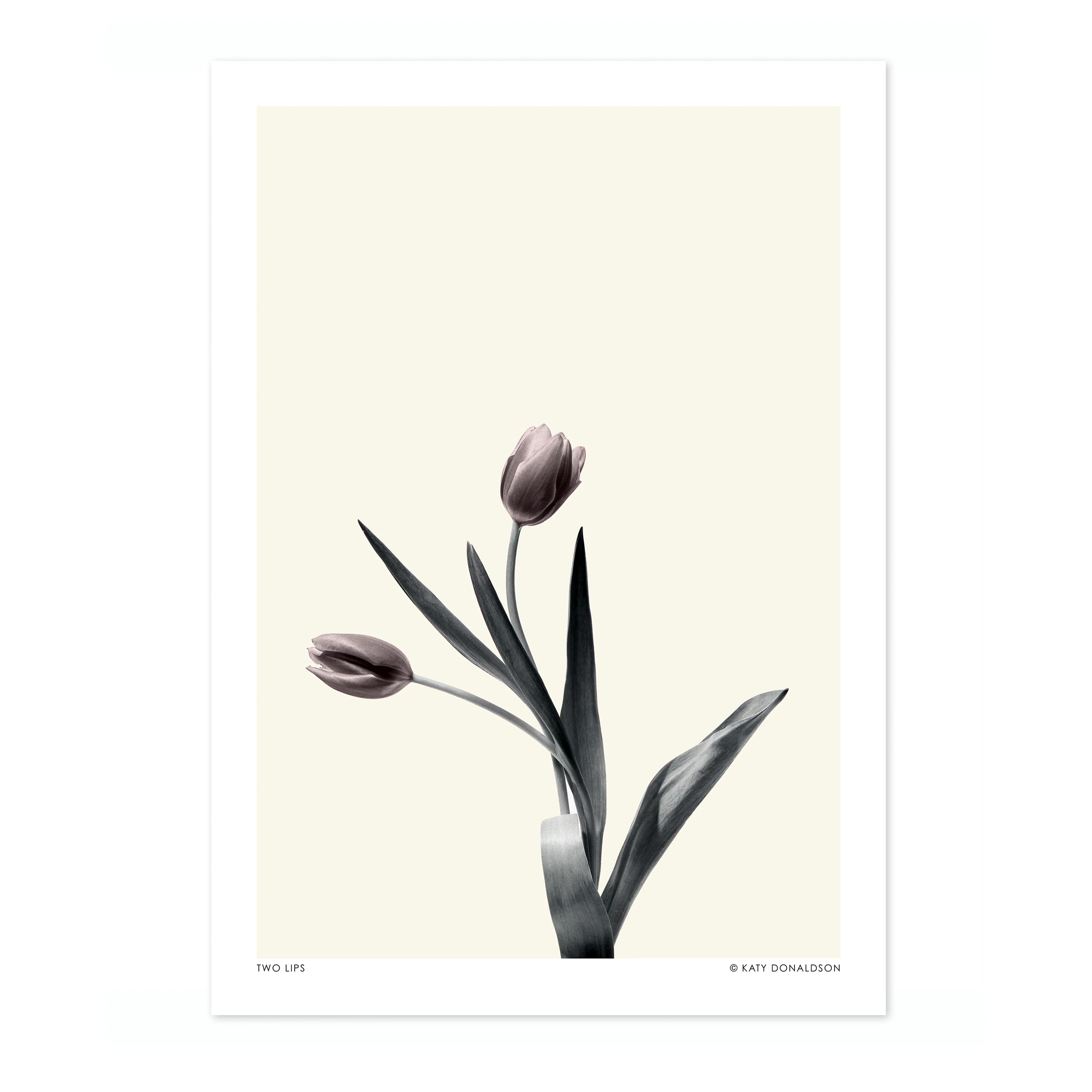 Two Lips - Image 4