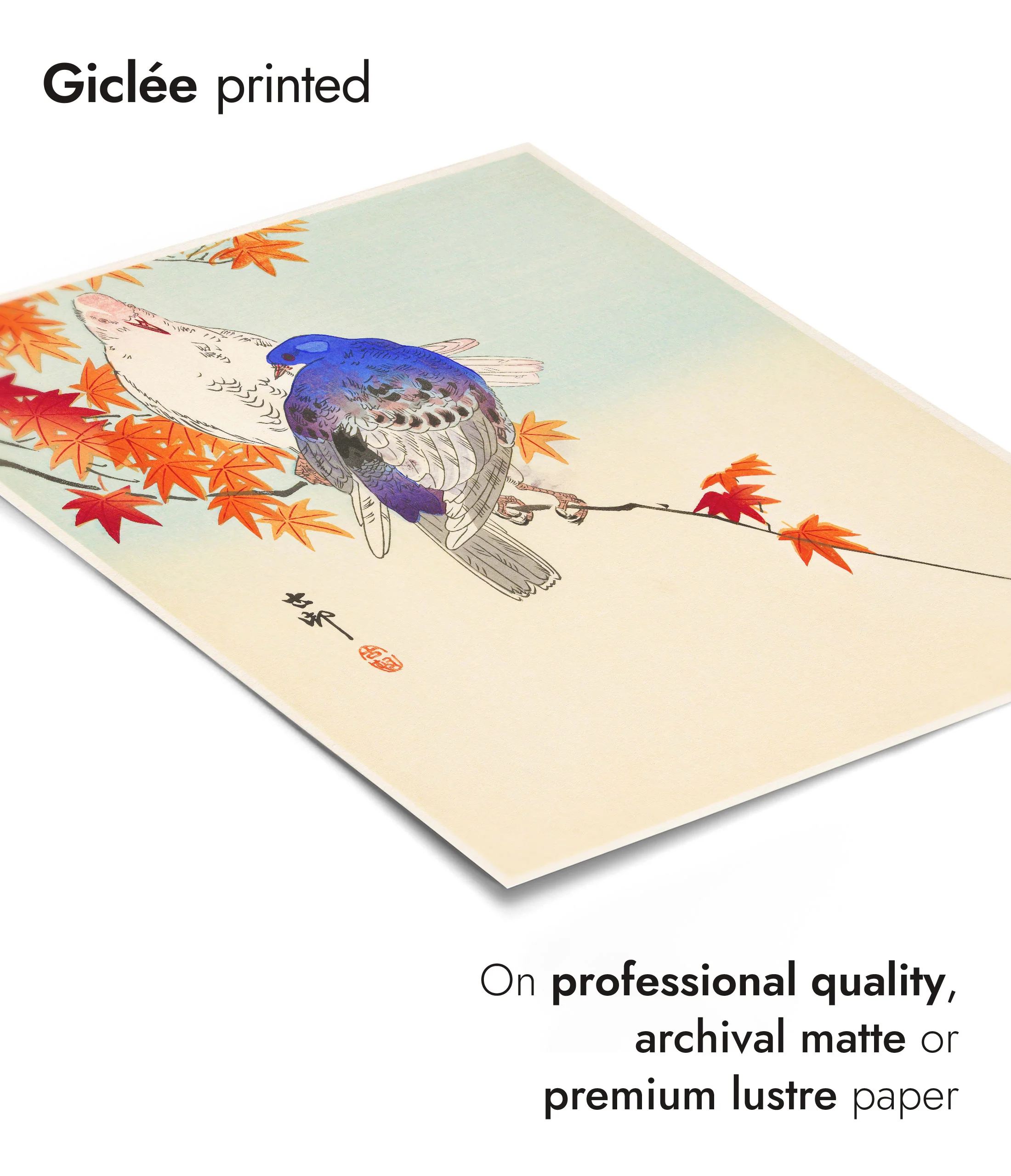 Two Pigeons on Autumn Branch - Image 6