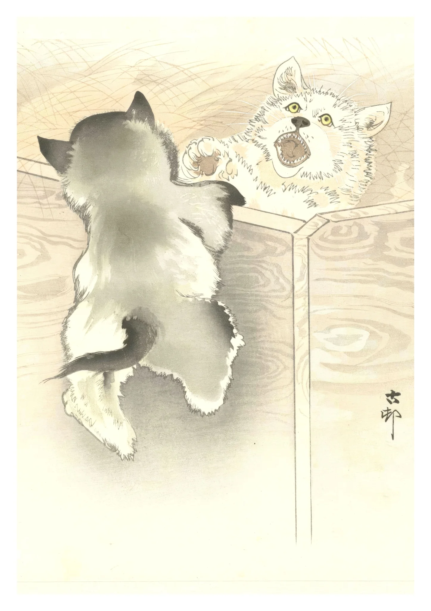 Two Playing Little Dogs