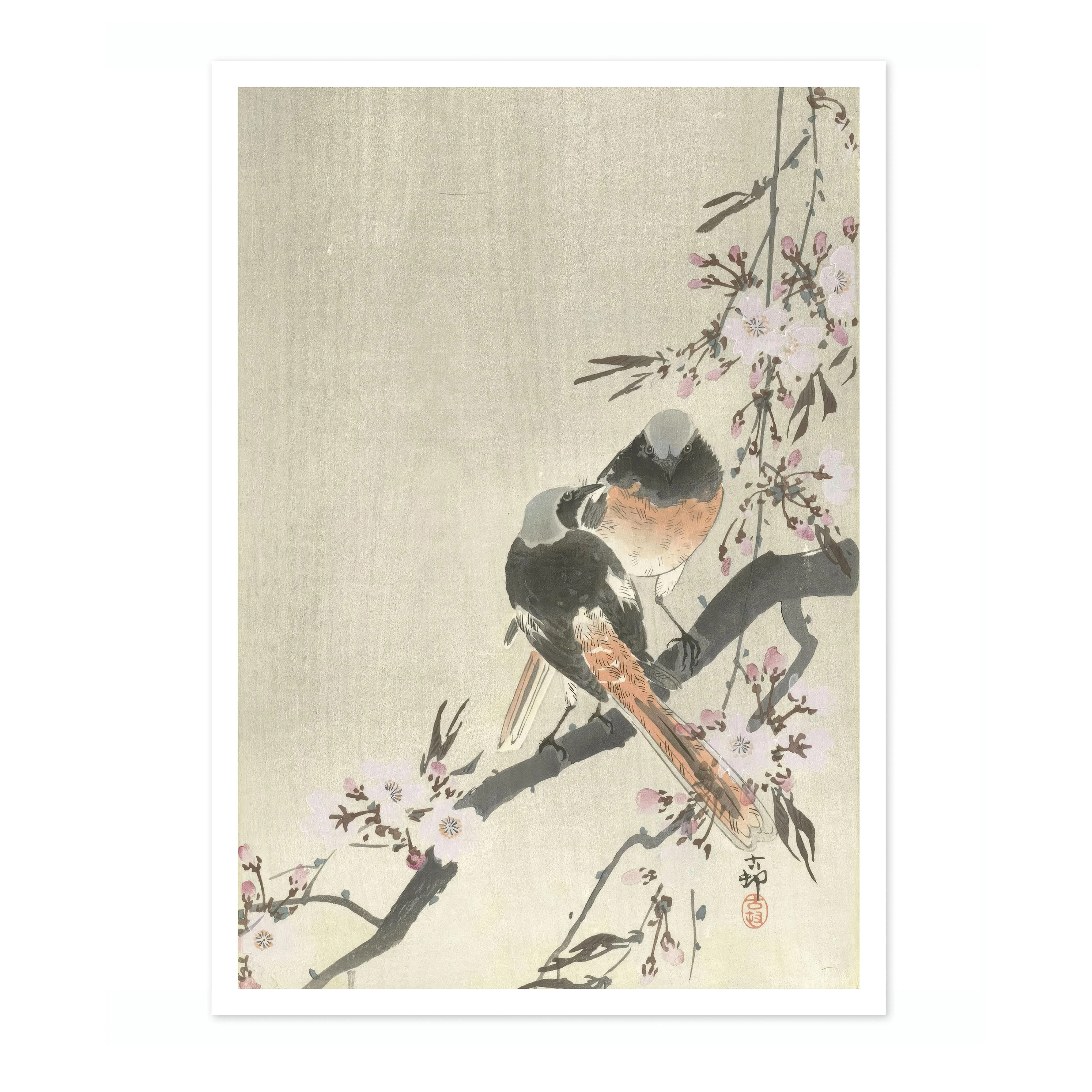 Two Siegel Redstarts with Cherry Blossoms - Image 4