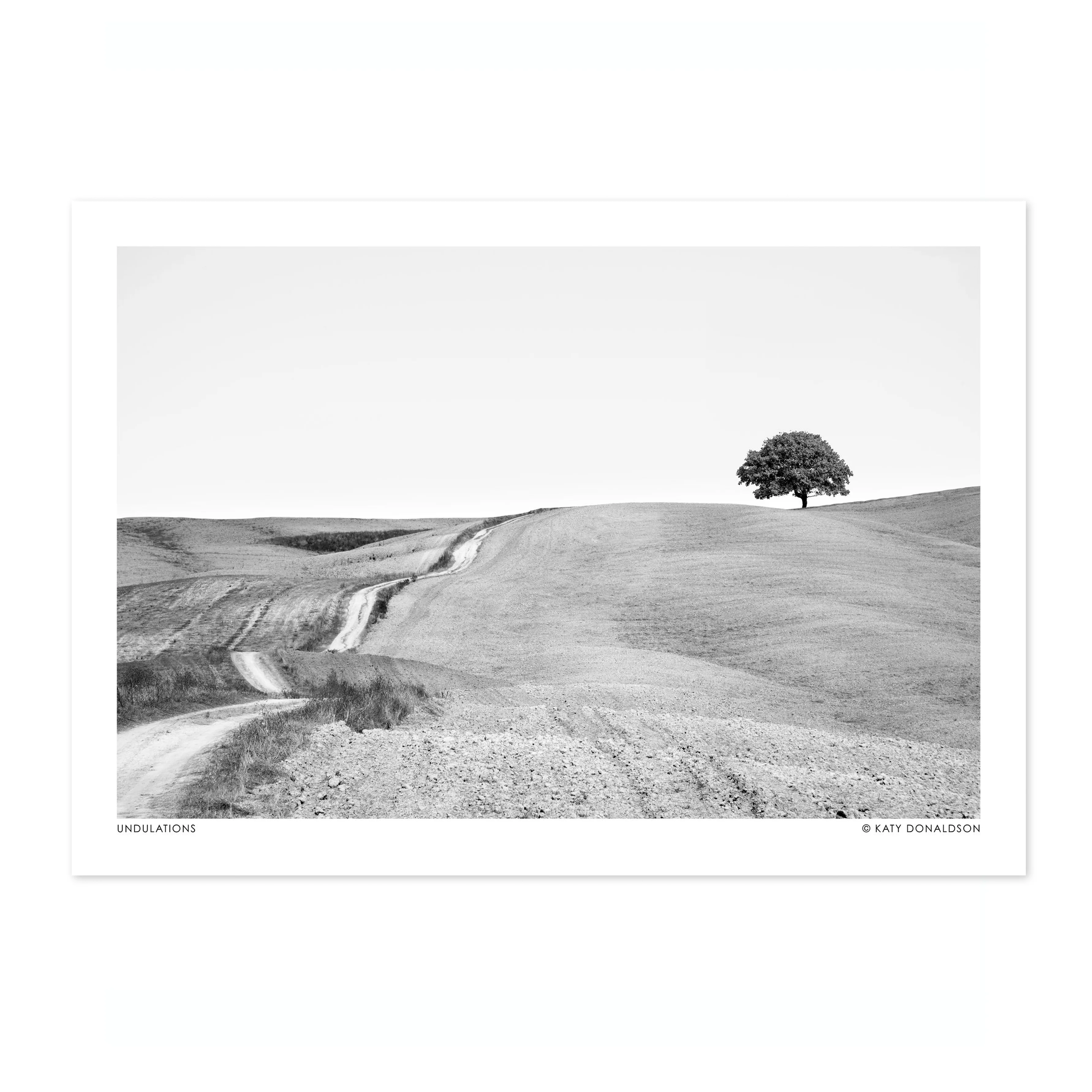Undulations Landscape - Image 4