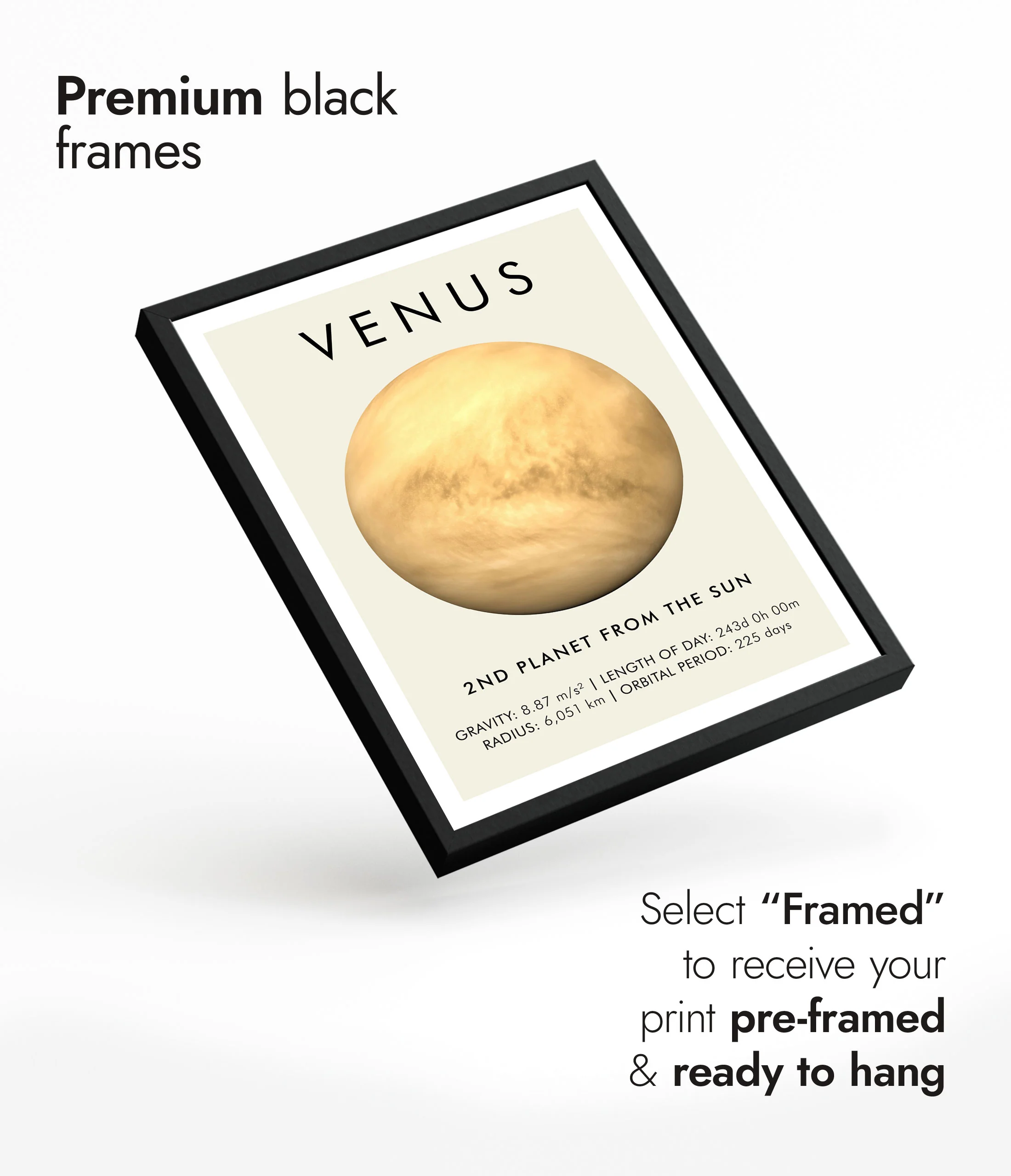 Venus - Image 7