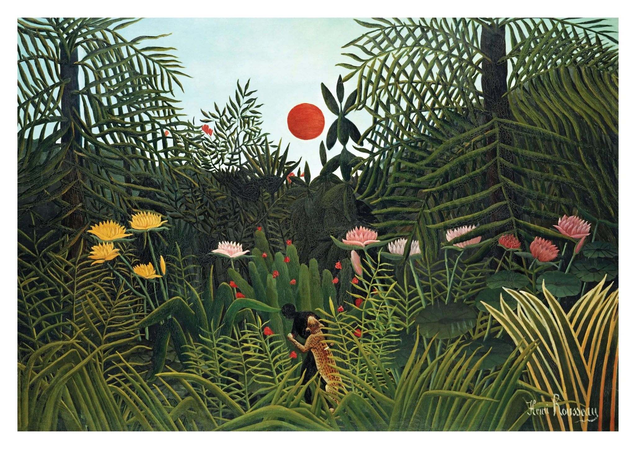Virgin Forest