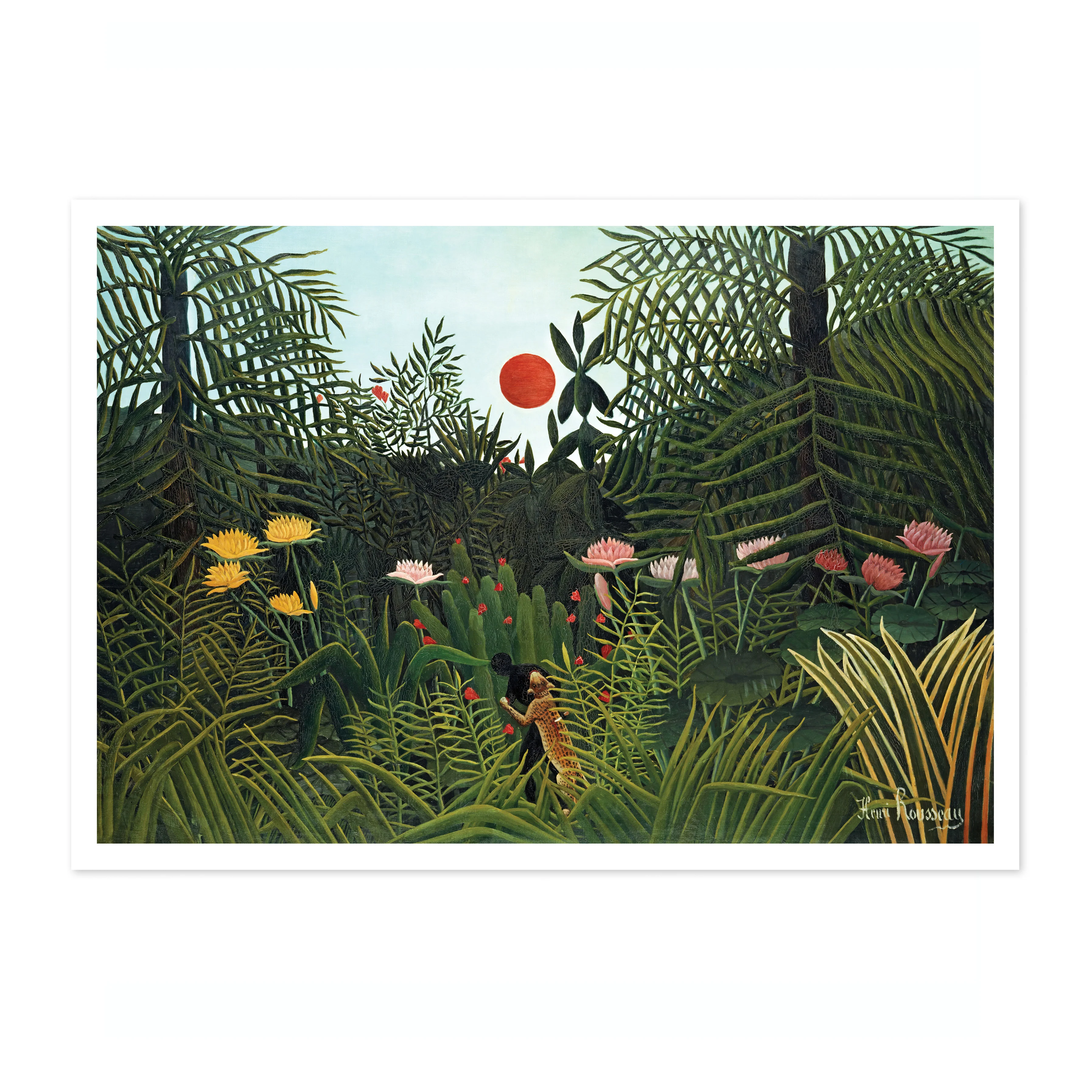 Virgin Forest - Image 4