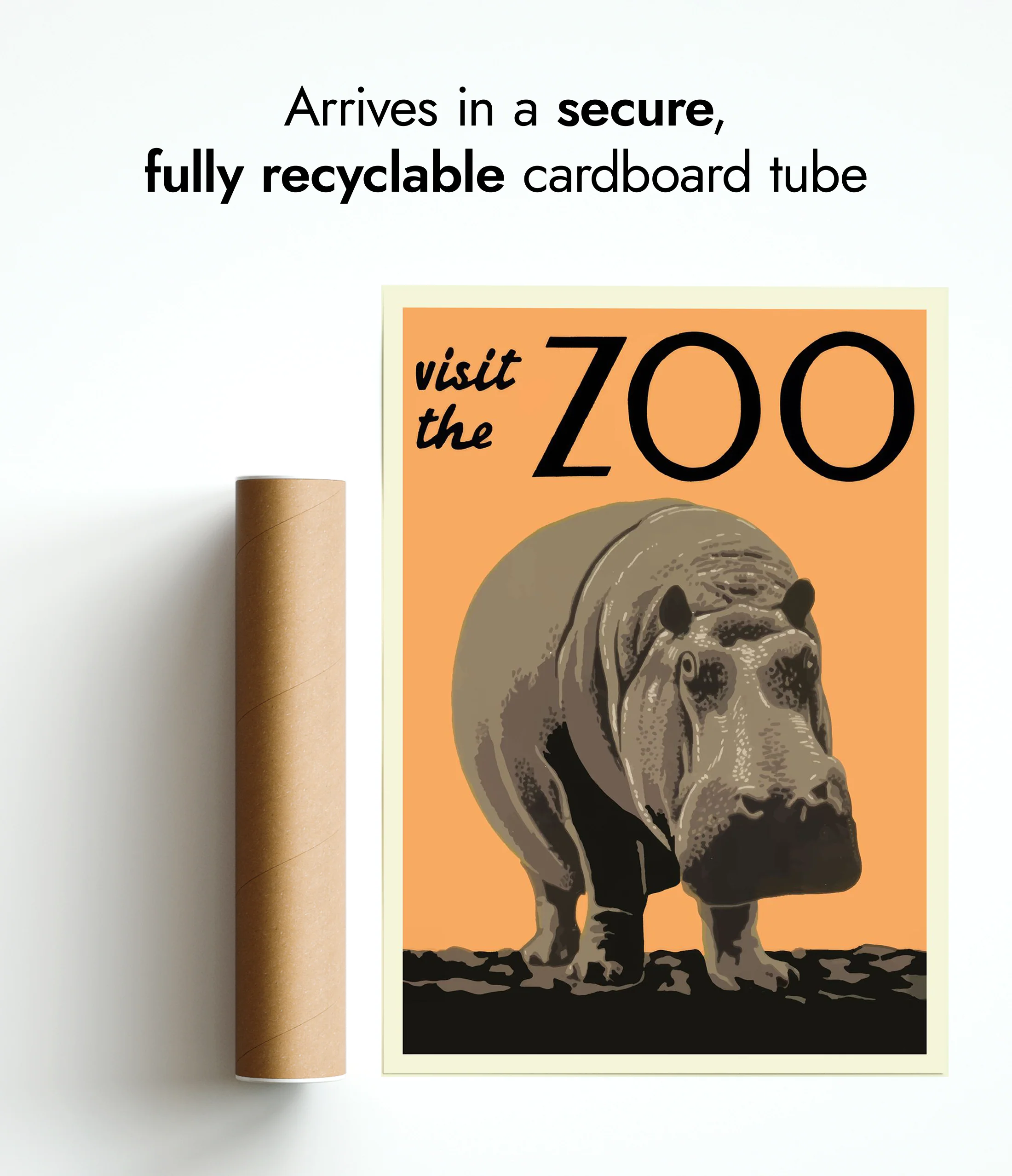 Visit the Zoo - Image 9