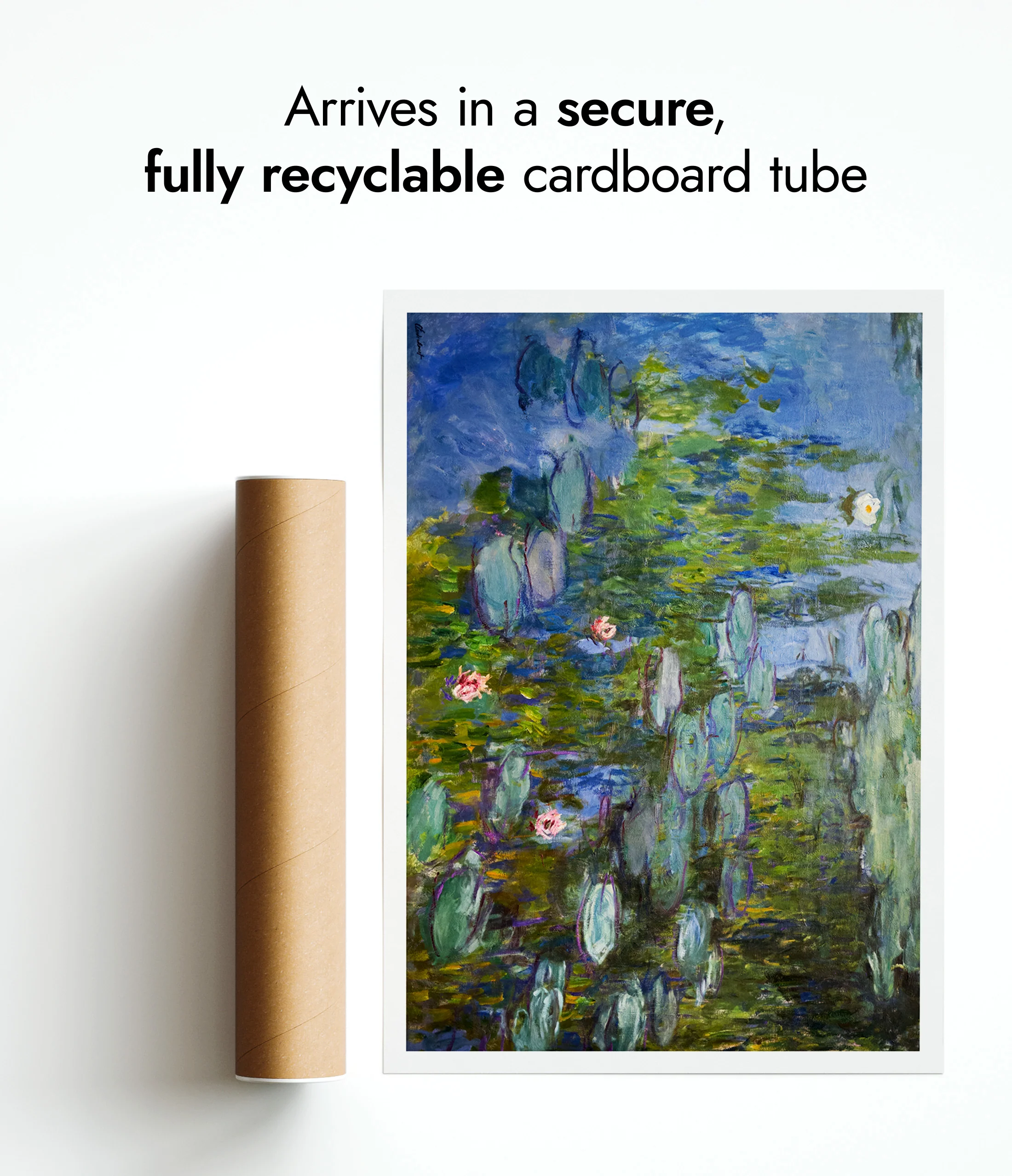 Water Lilies - Image 9