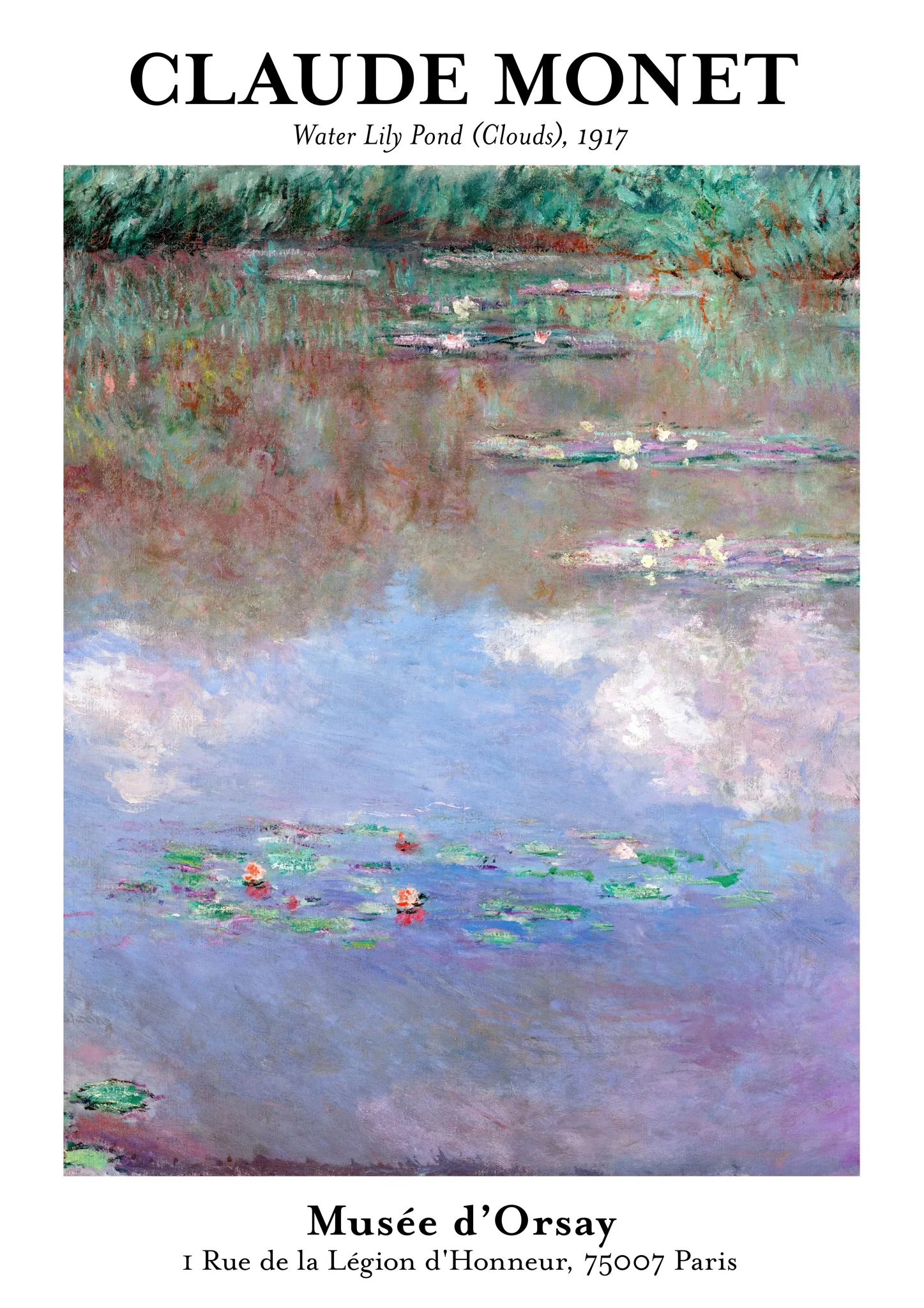 Water Lily Pond