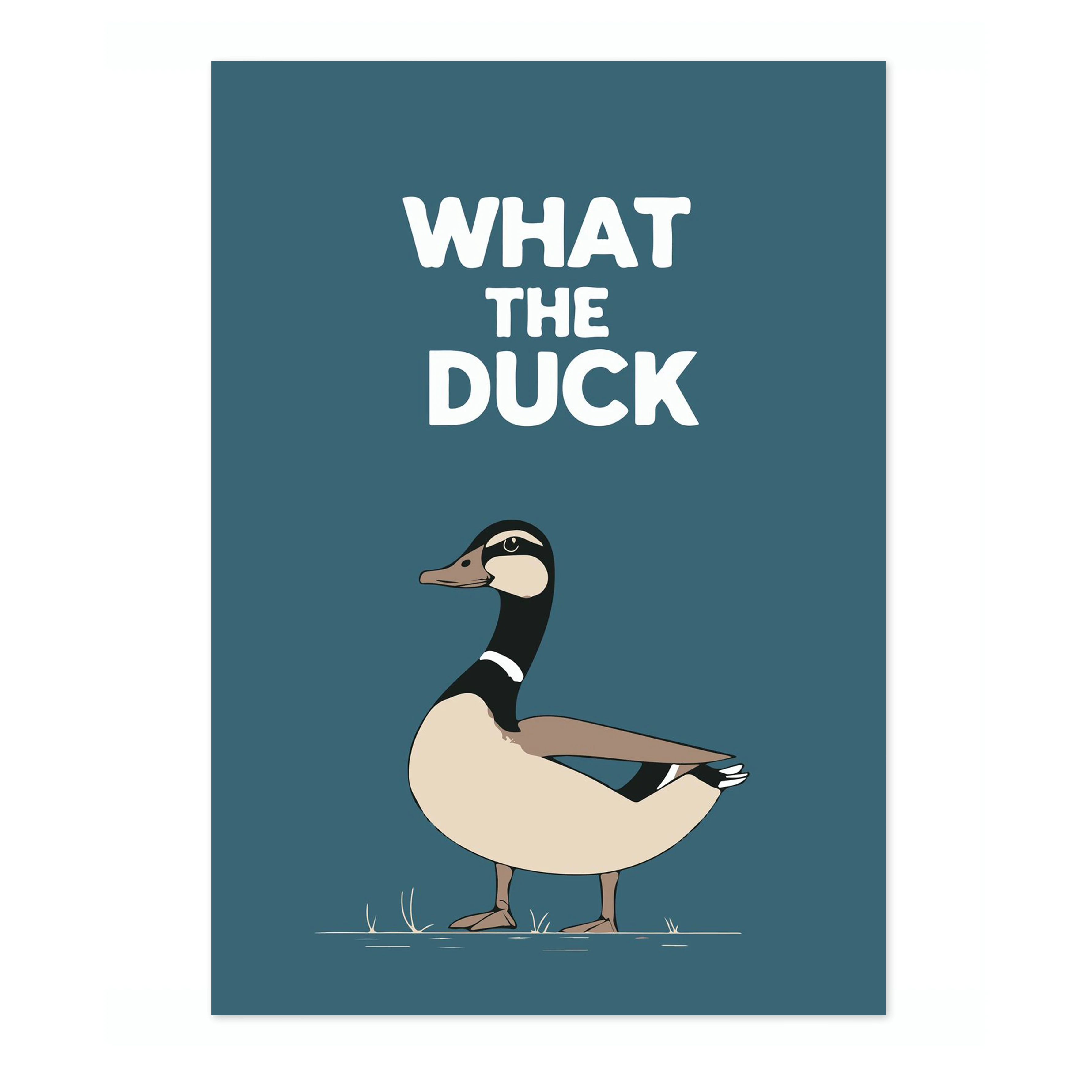What the Duck - Image 4