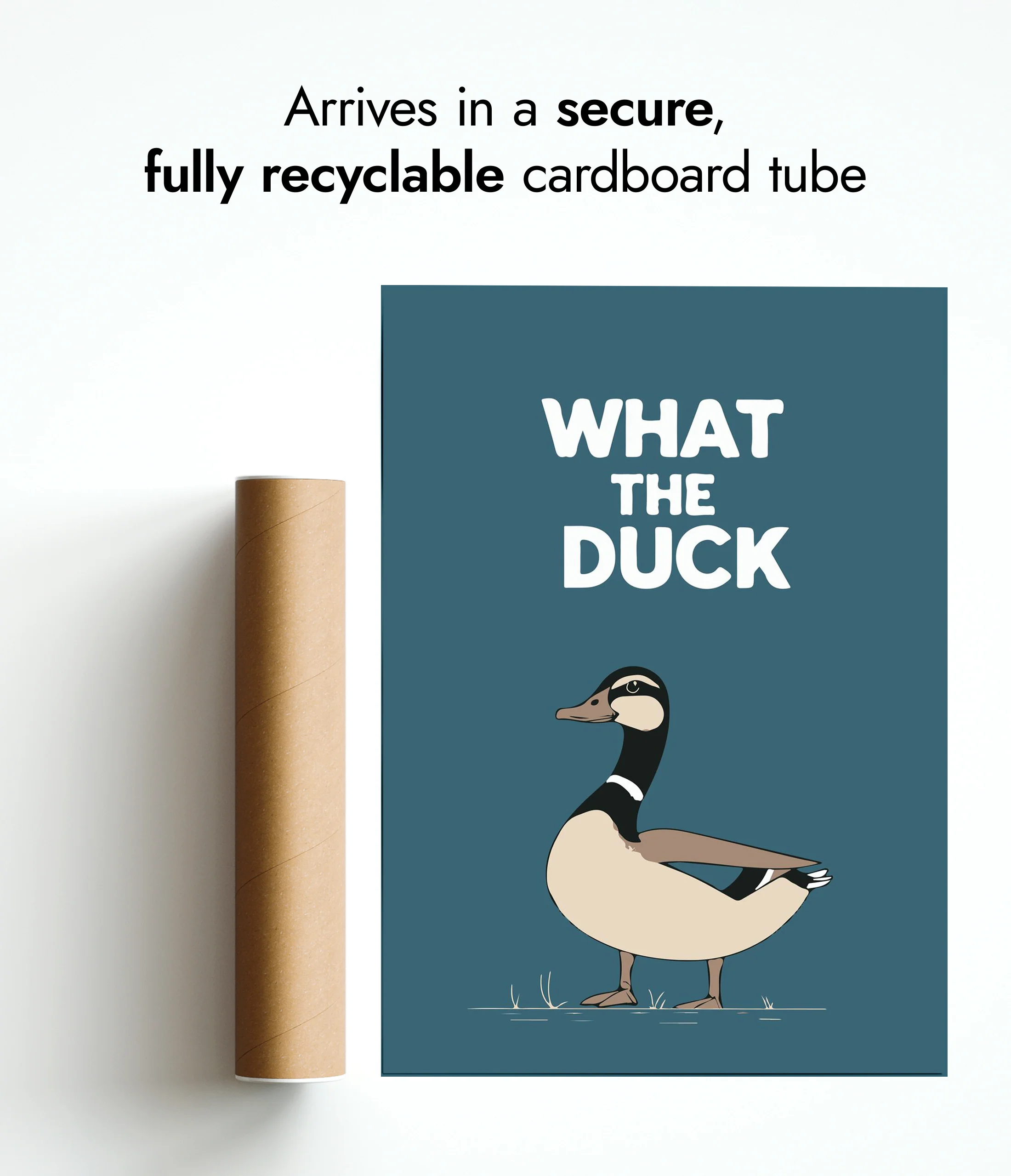 What the Duck - Image 9