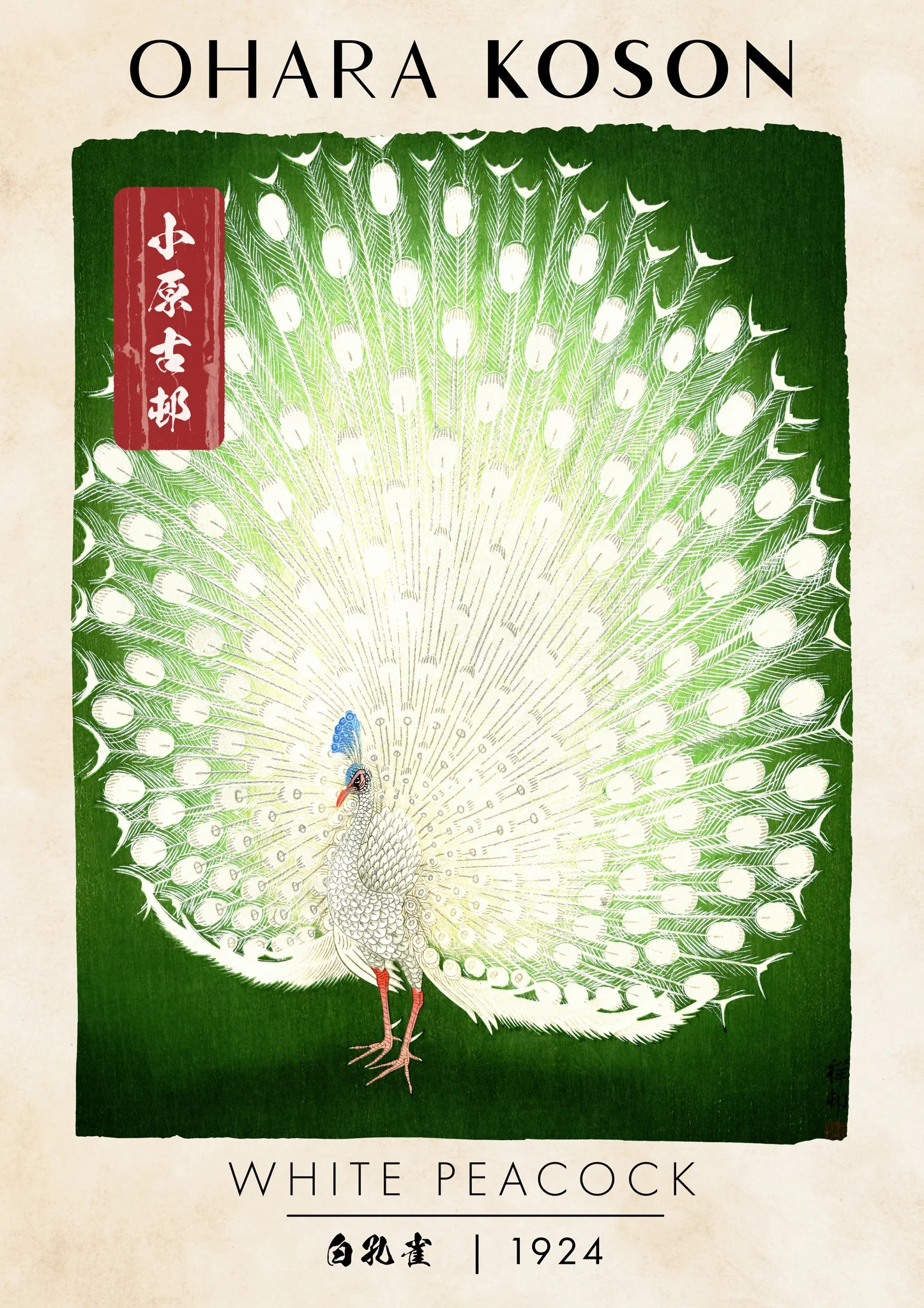 White Peacock