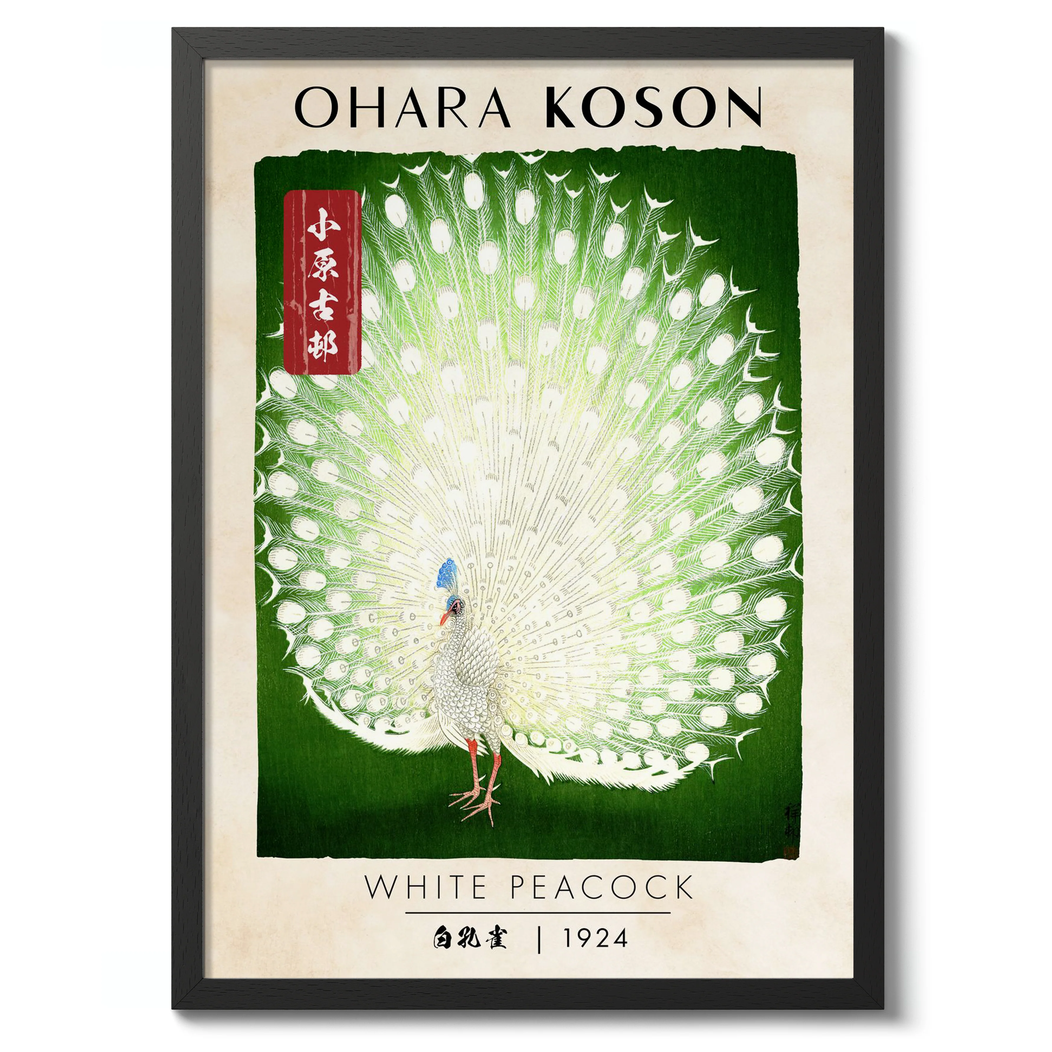 White Peacock - Image 2