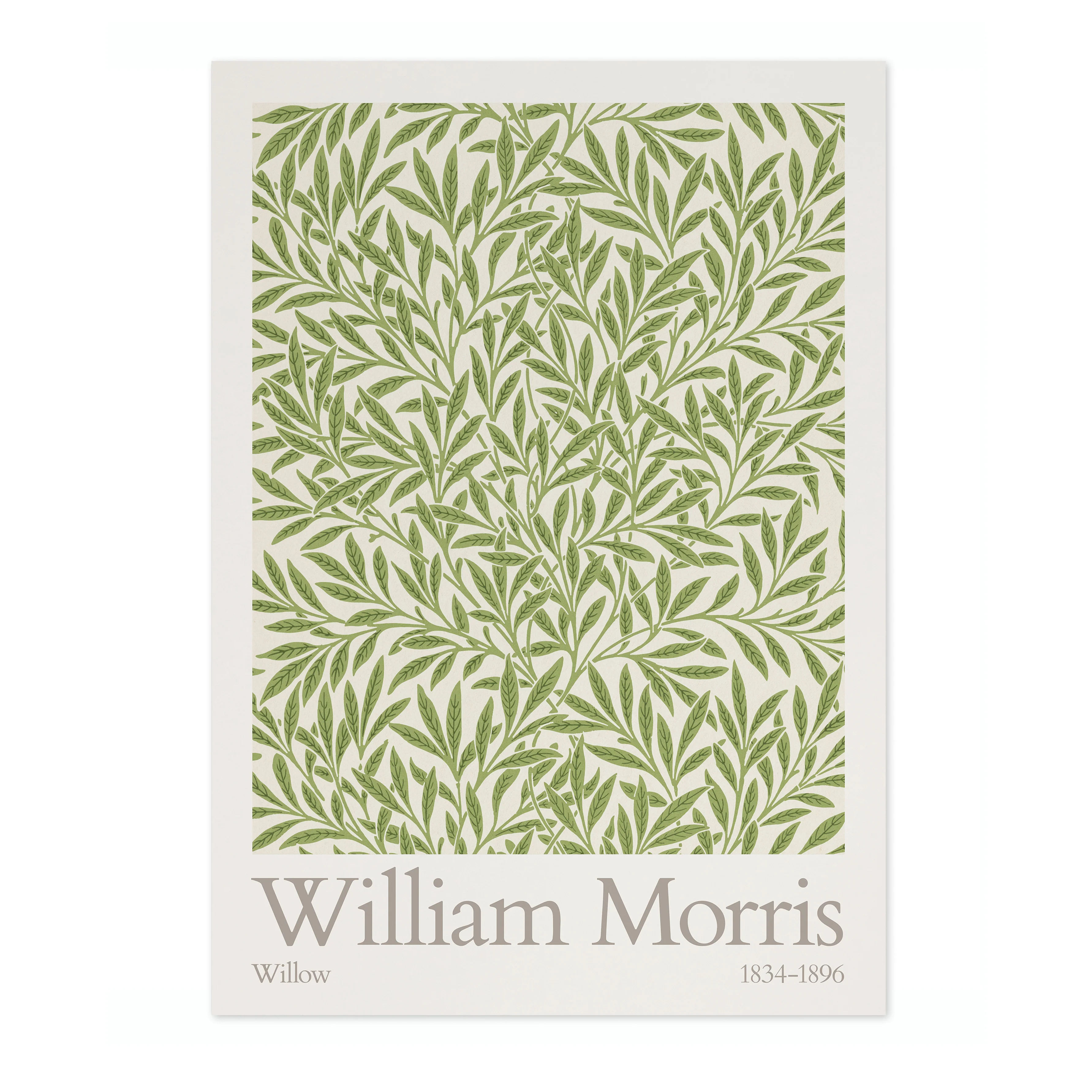 Willow - Image 4