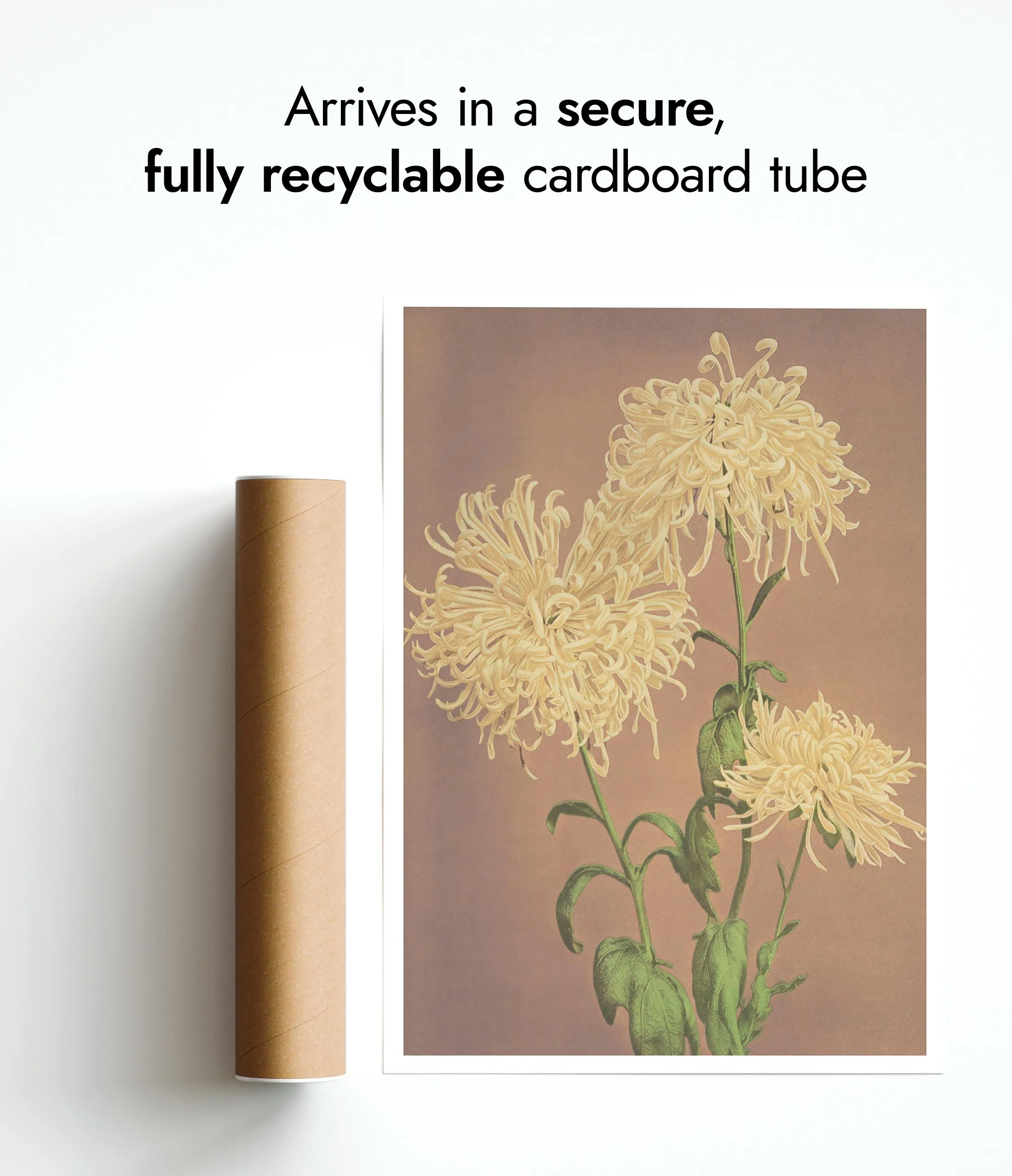 Yellow Chrysanthemums - Image 9