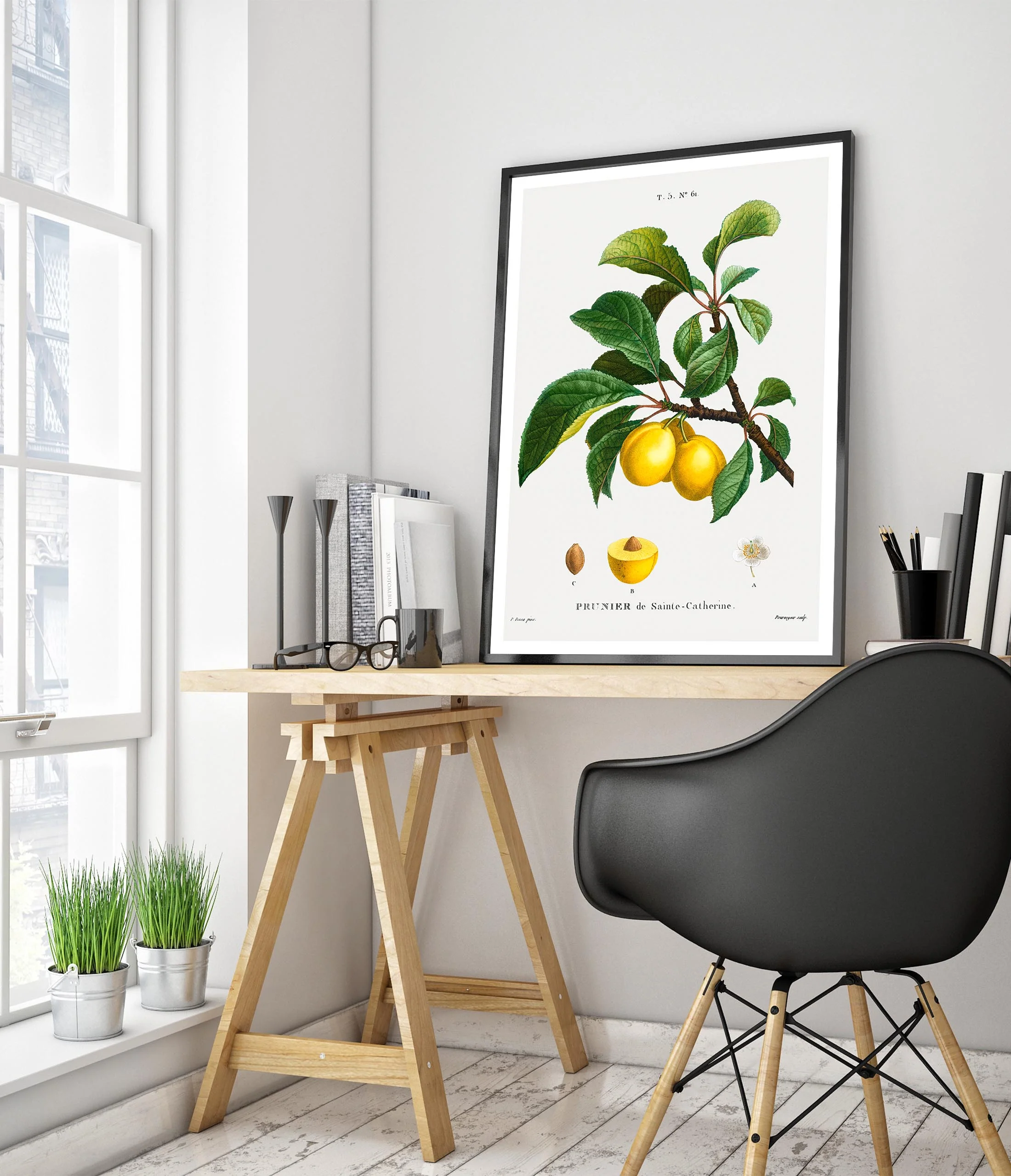 Yellow Plum - Image 5