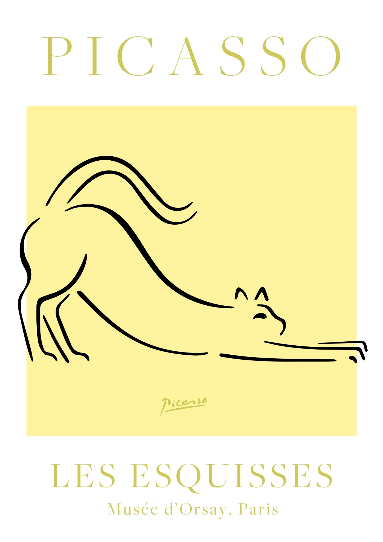 Yellow & White Cat
