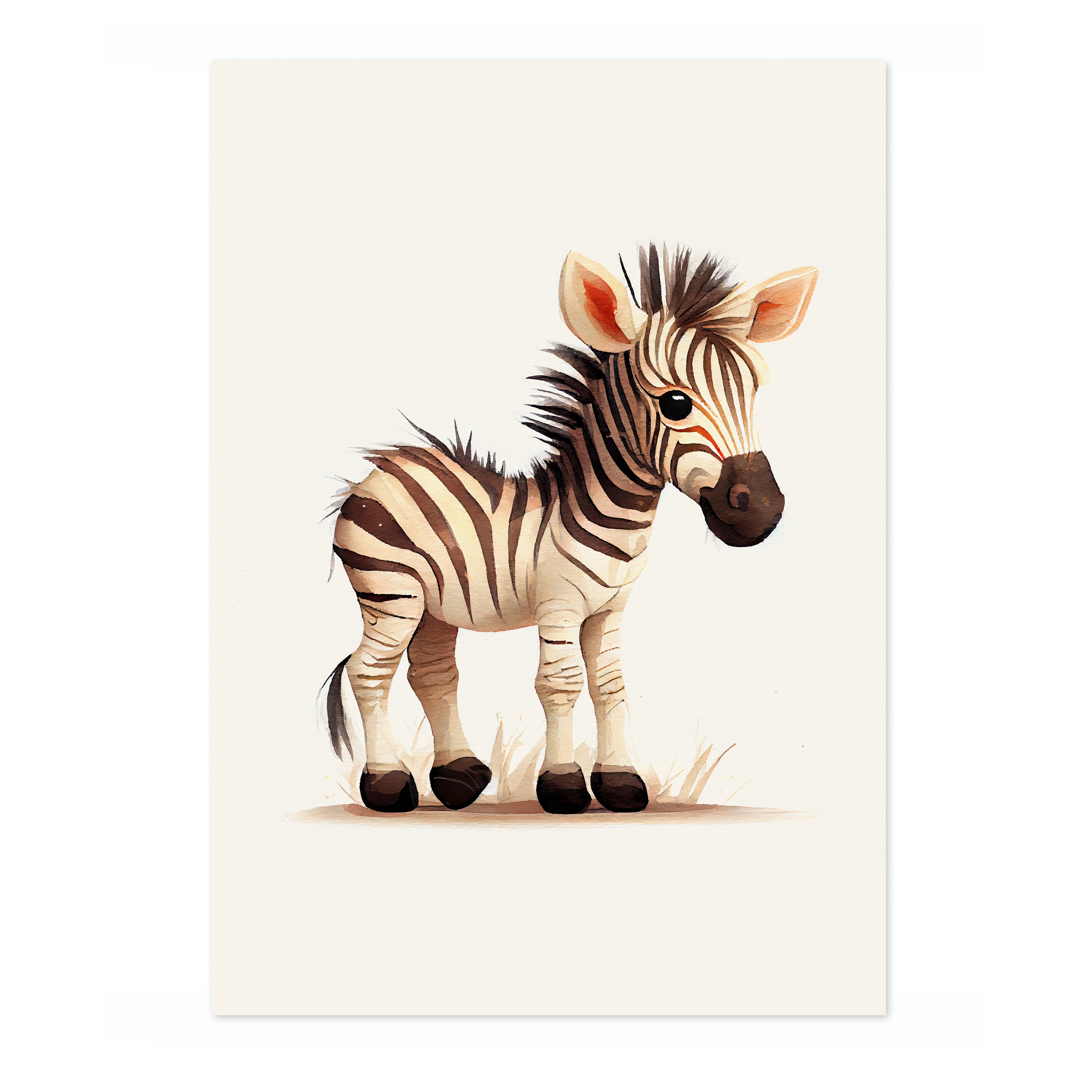 Zebra - Image 4