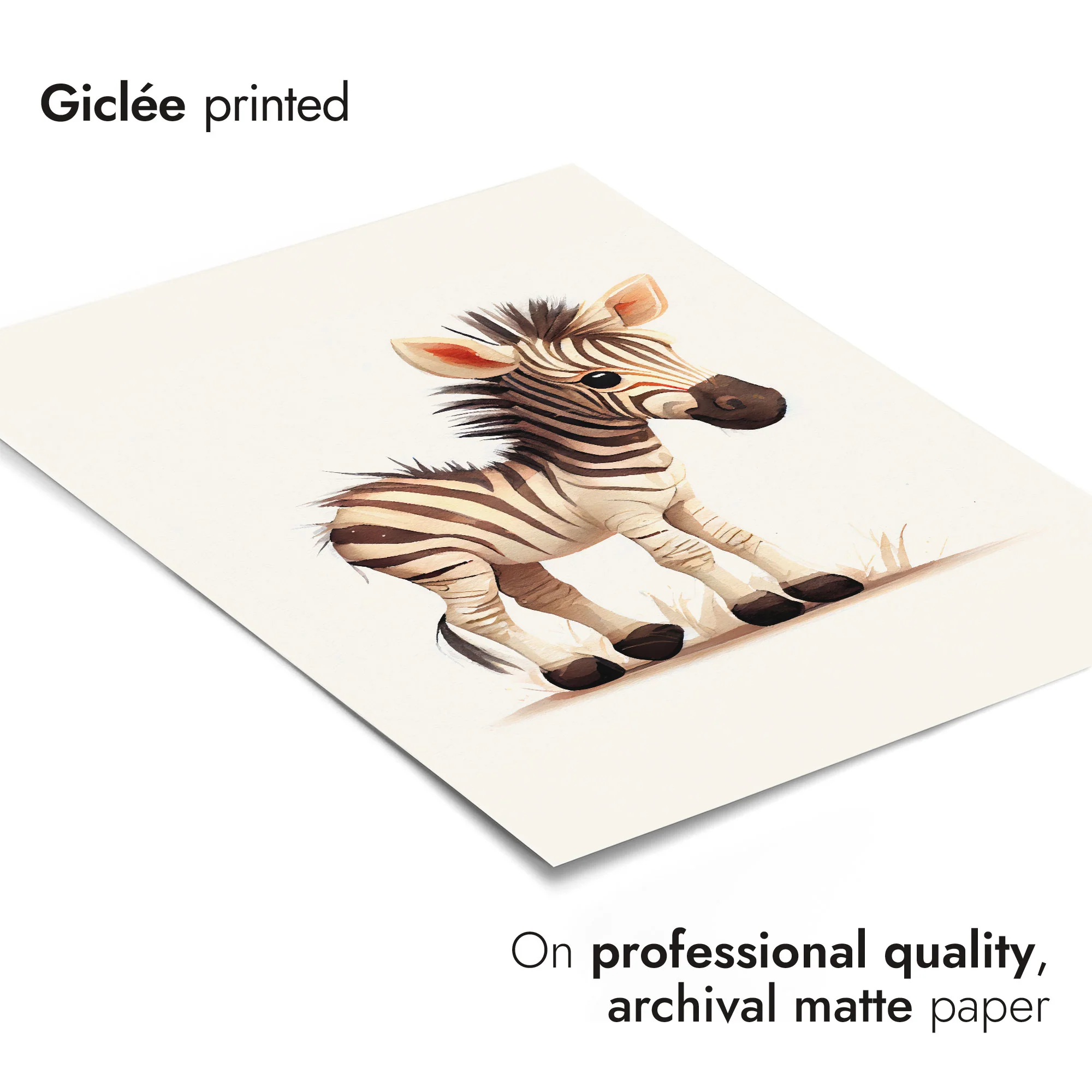 Zebra - Image 6