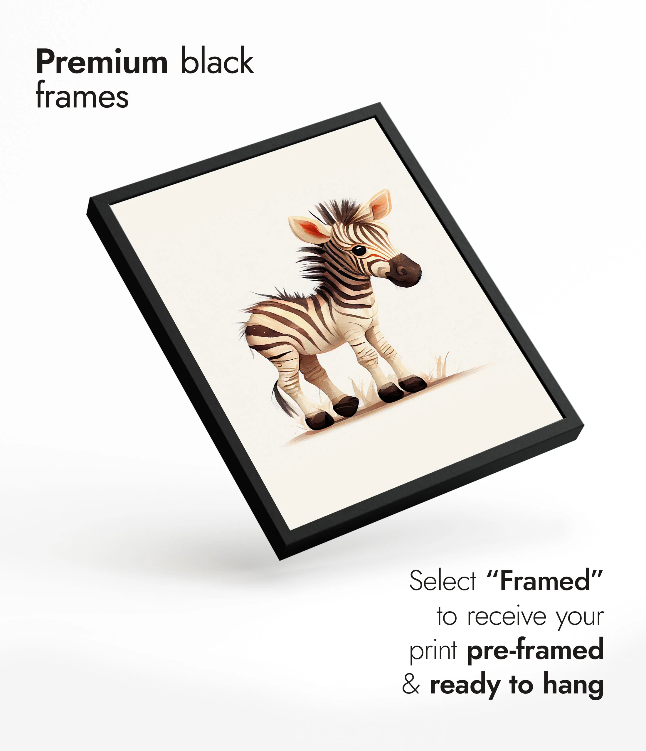 Zebra - Image 7