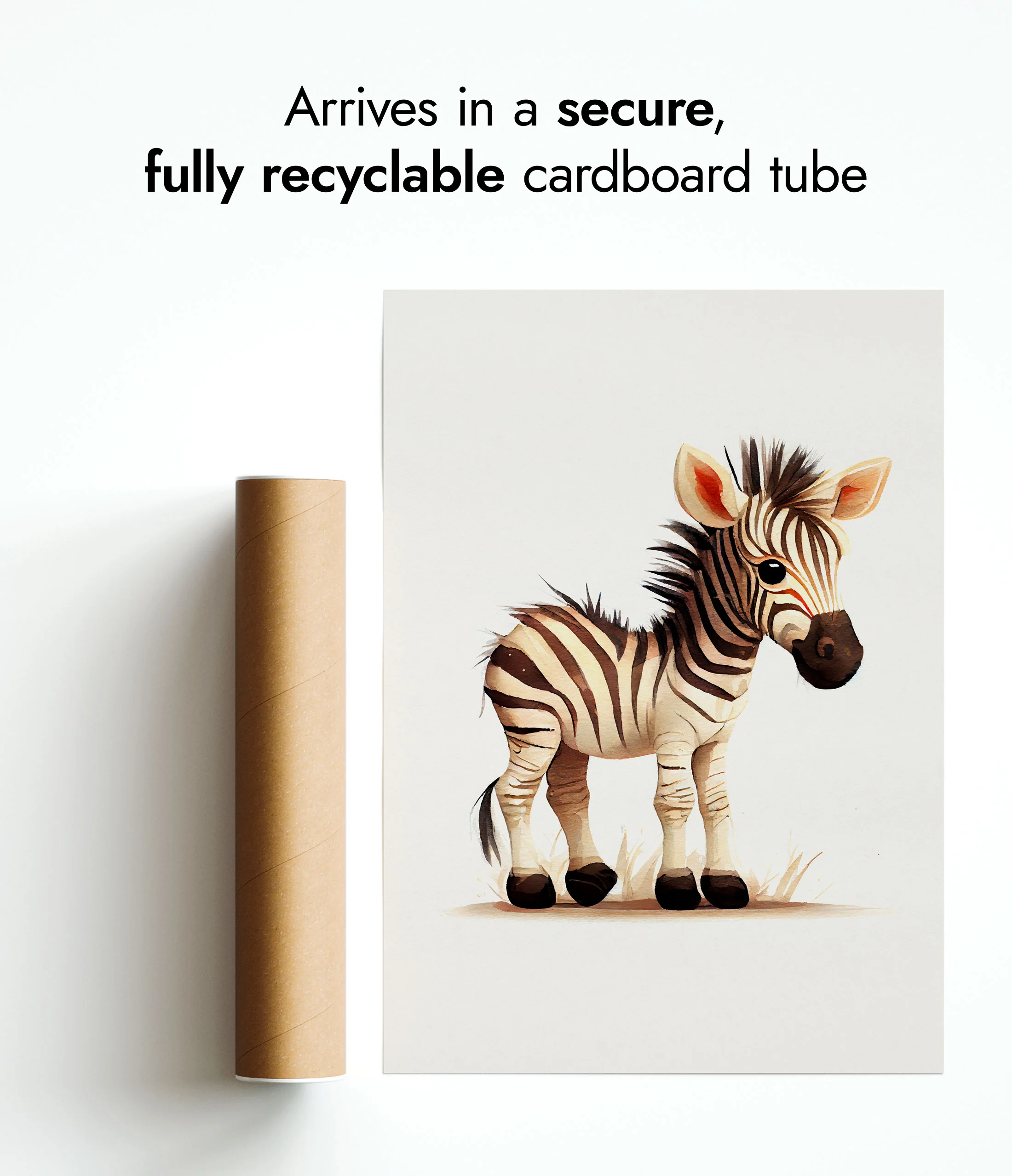 Zebra - Image 9