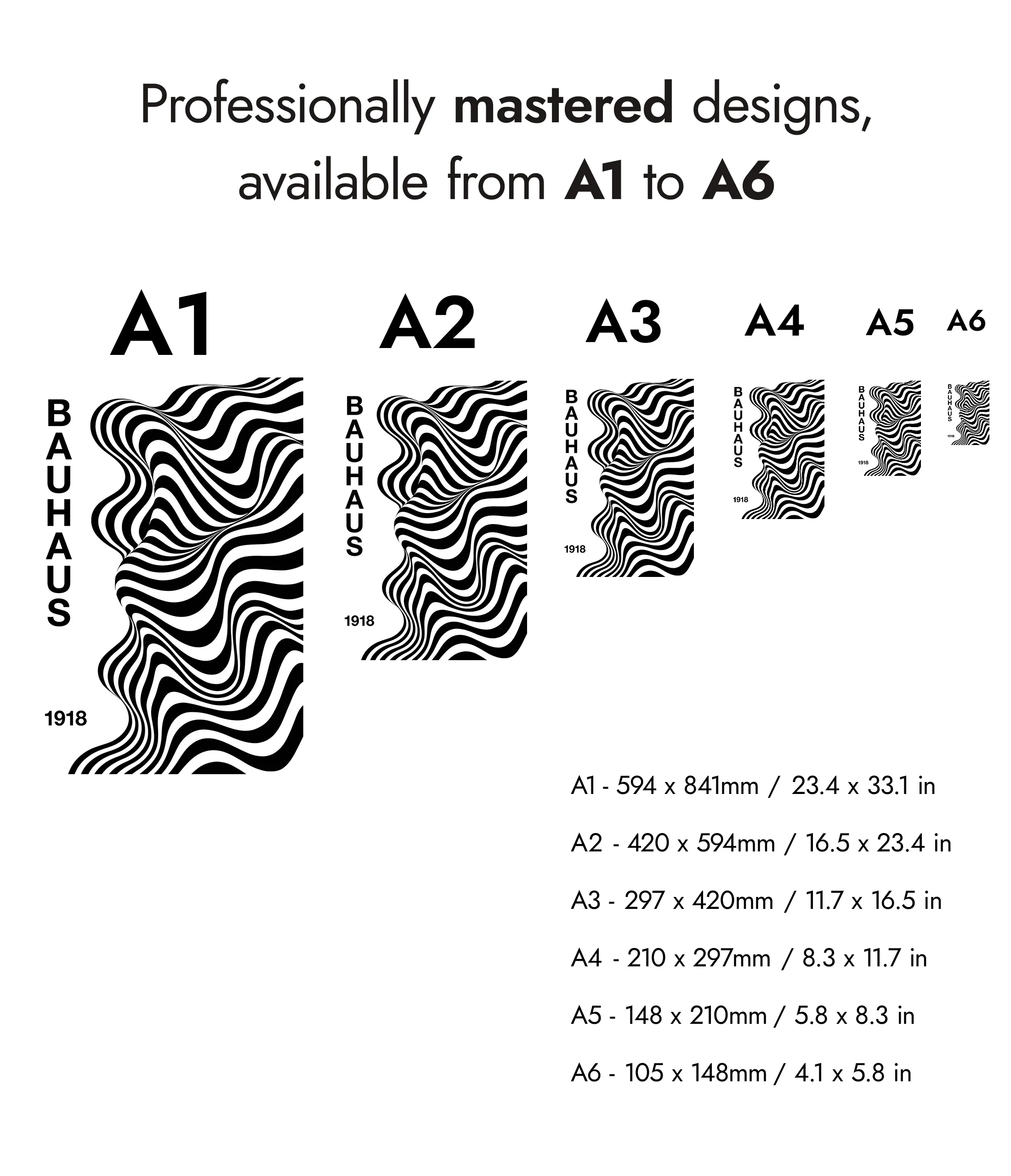 Zebra Waves - Image 8