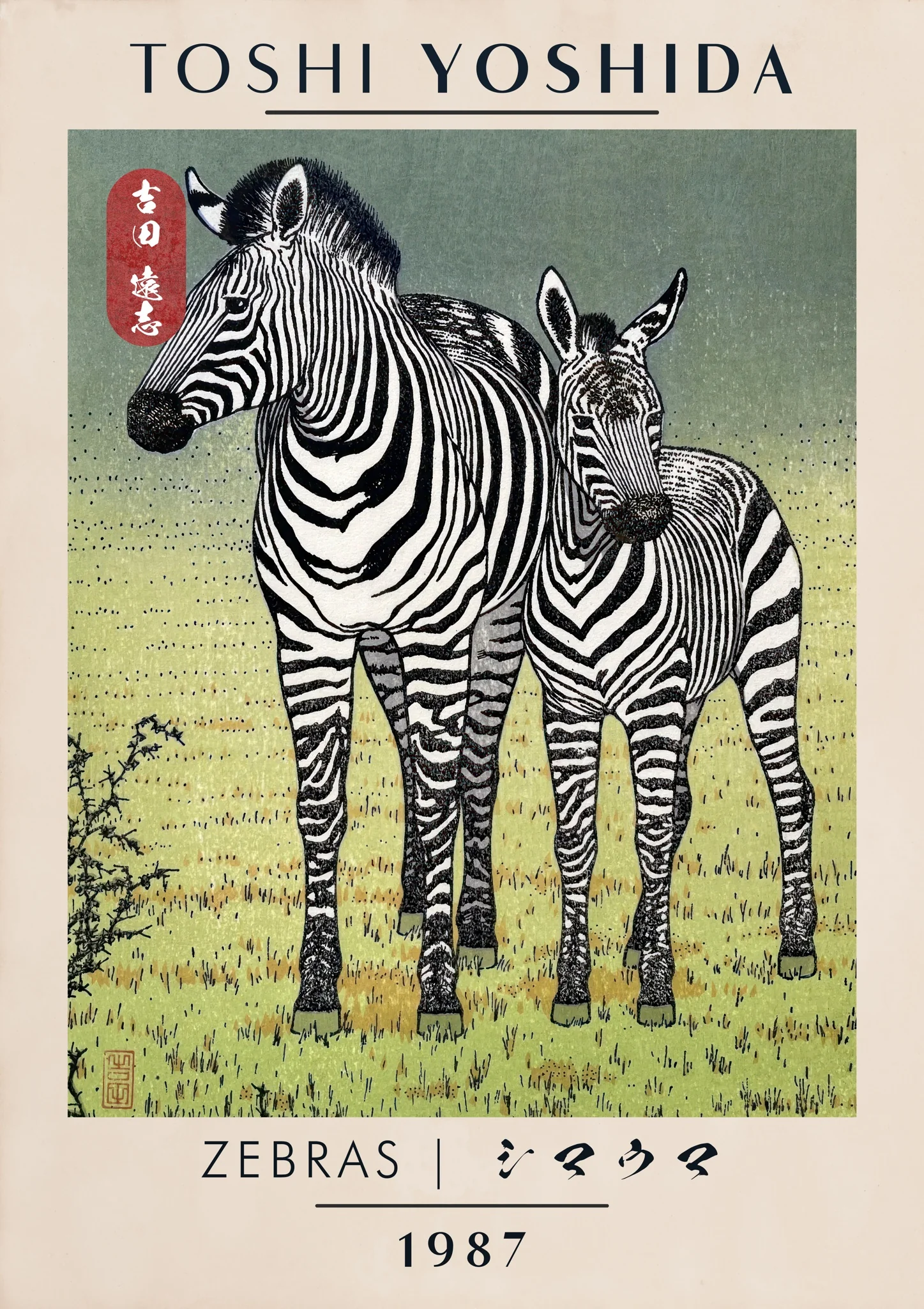 Zebras