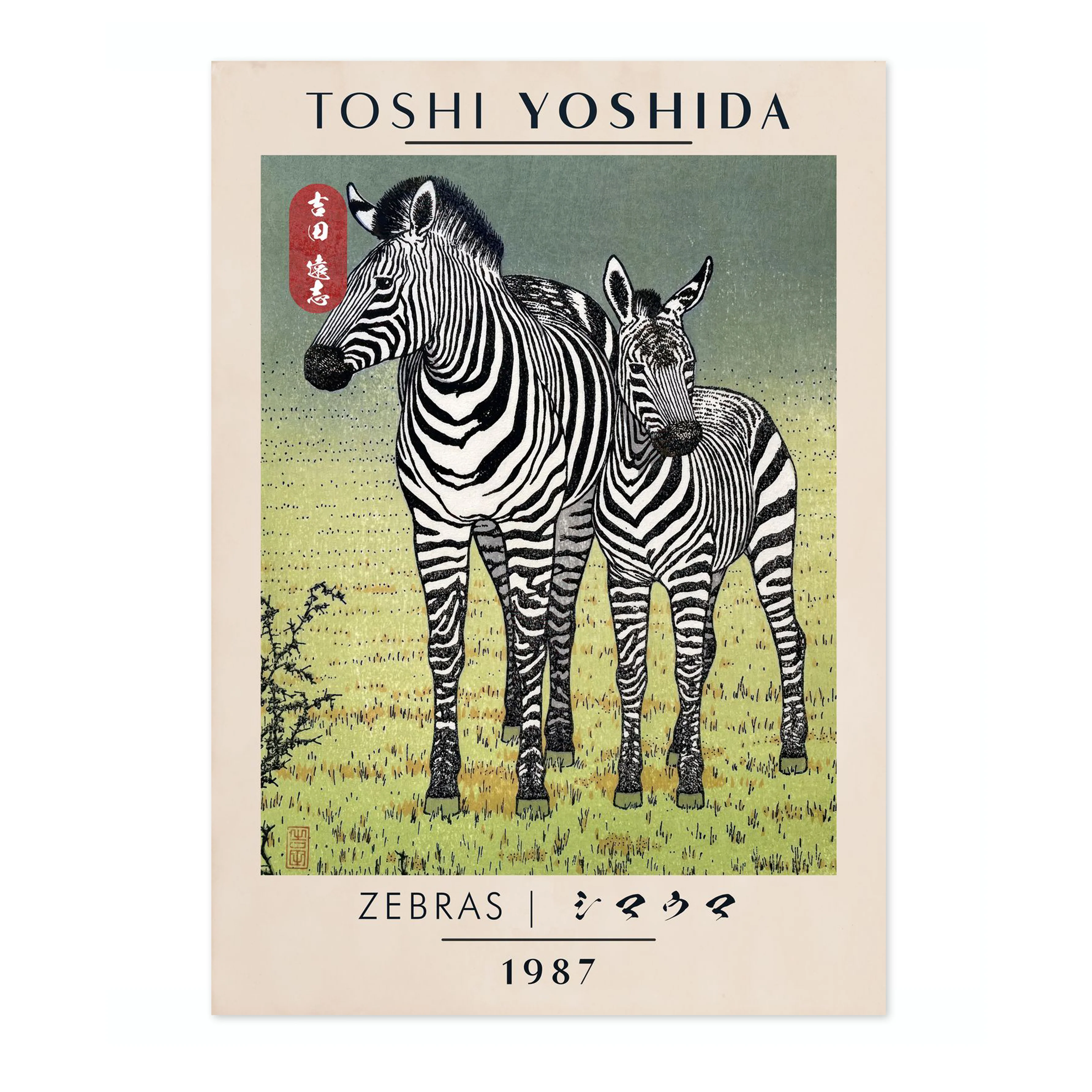 Zebras - Image 4