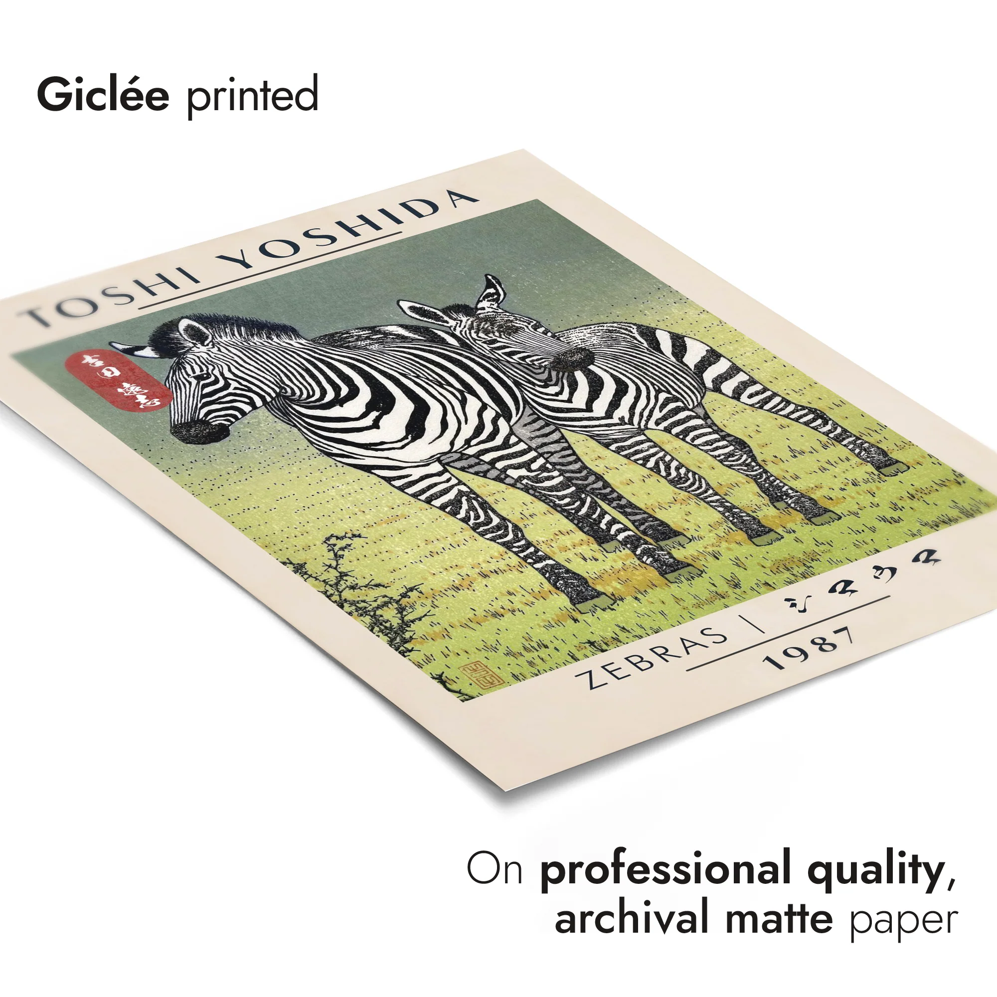 Zebras - Image 6