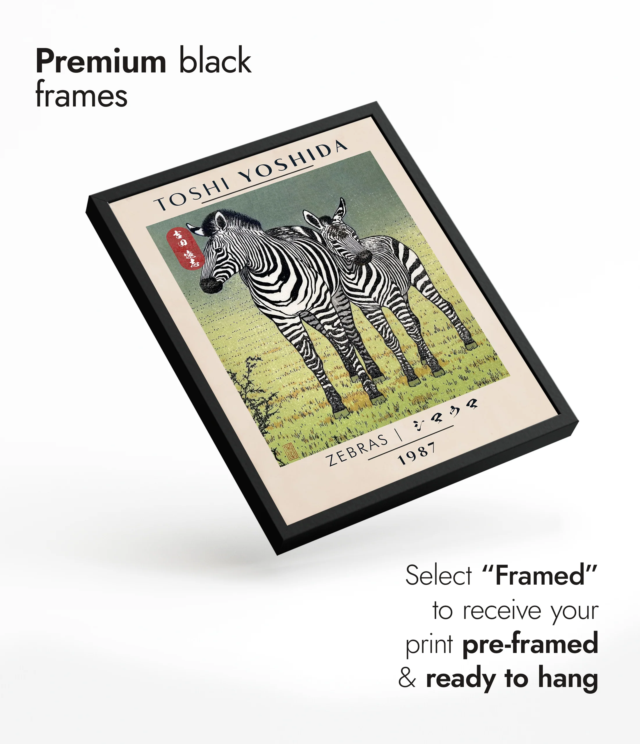 Zebras - Image 7