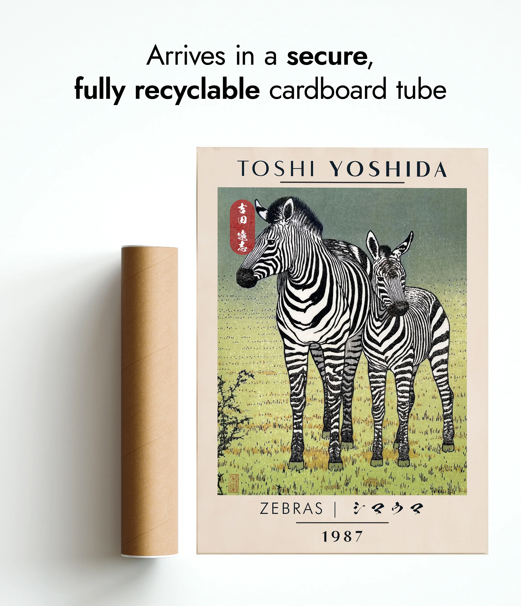Zebras - Image 9