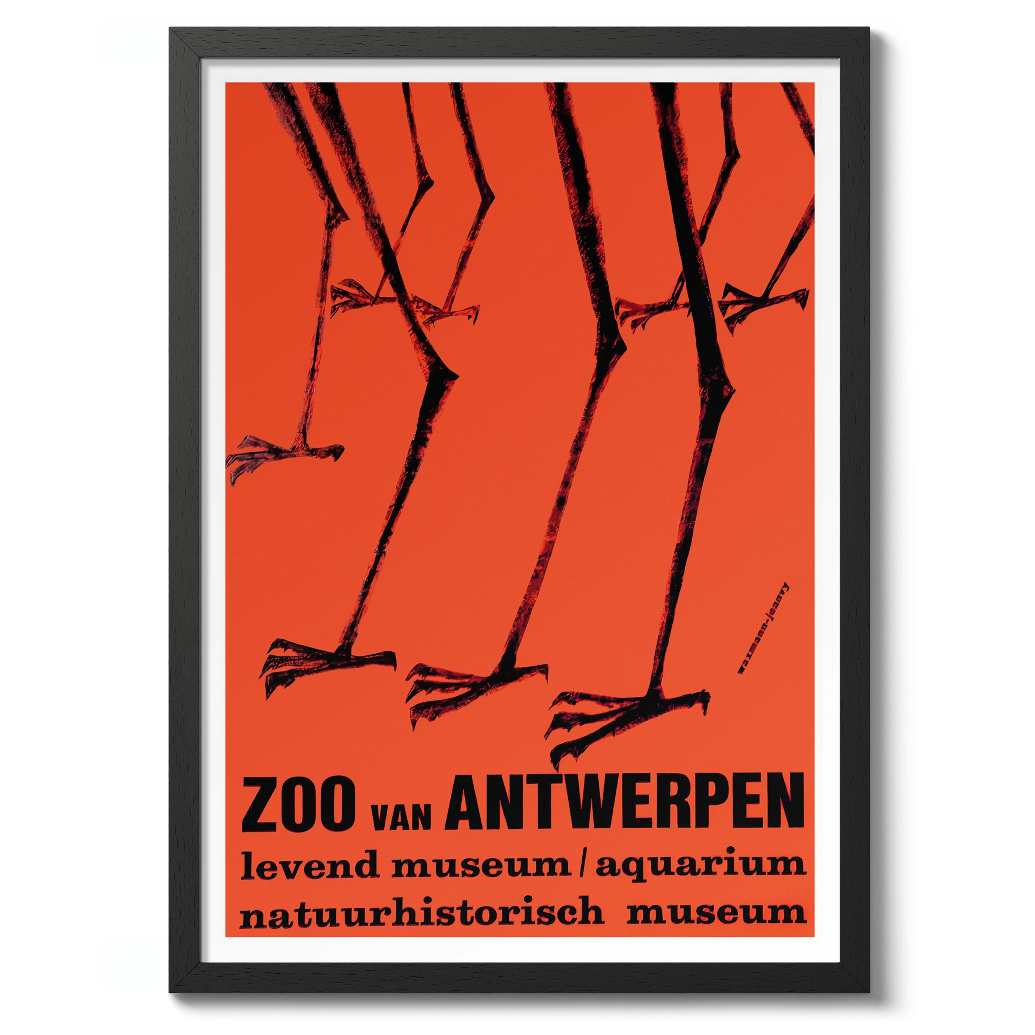 Zoo Antwerpen - Image 2