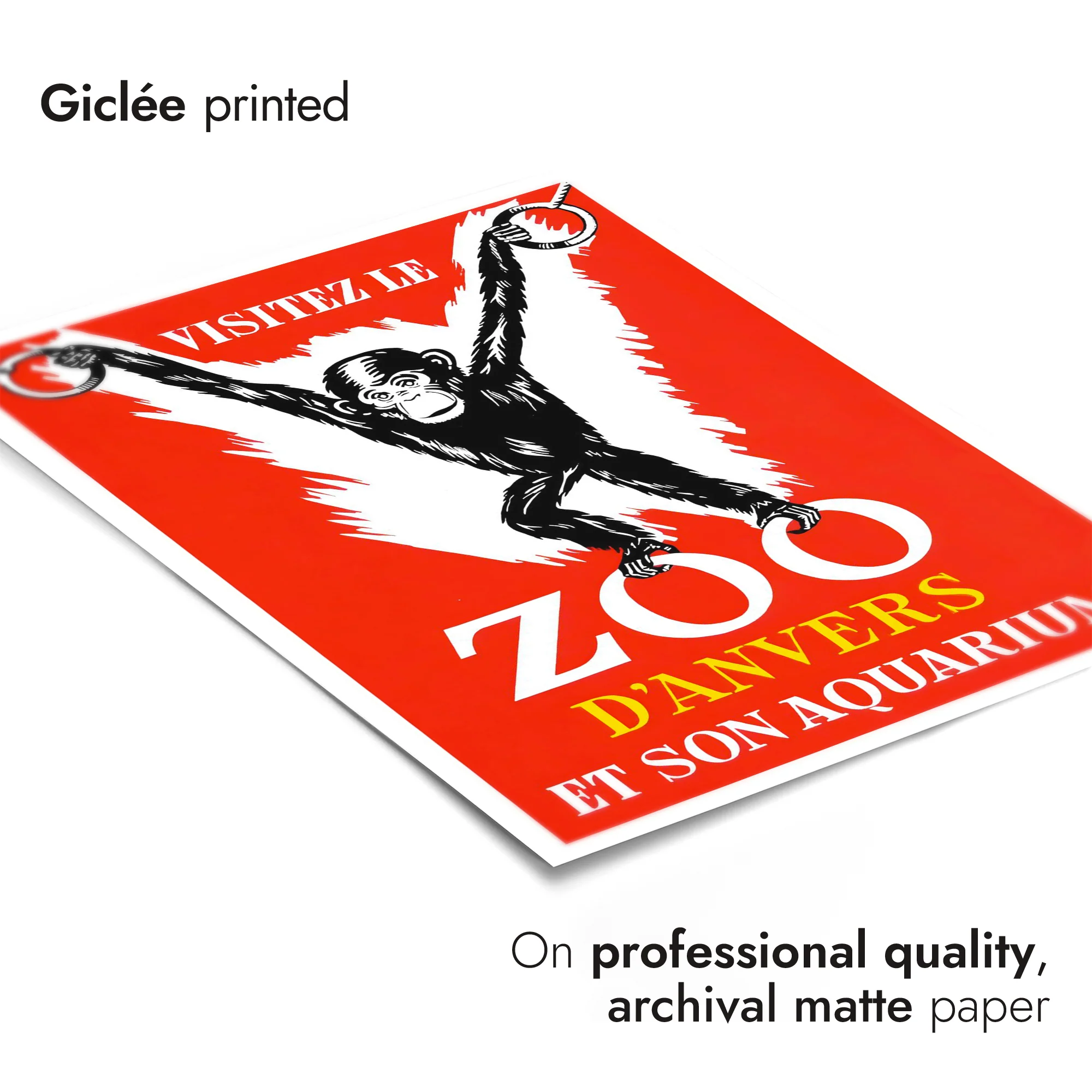 Zoo, Anverz - Image 6