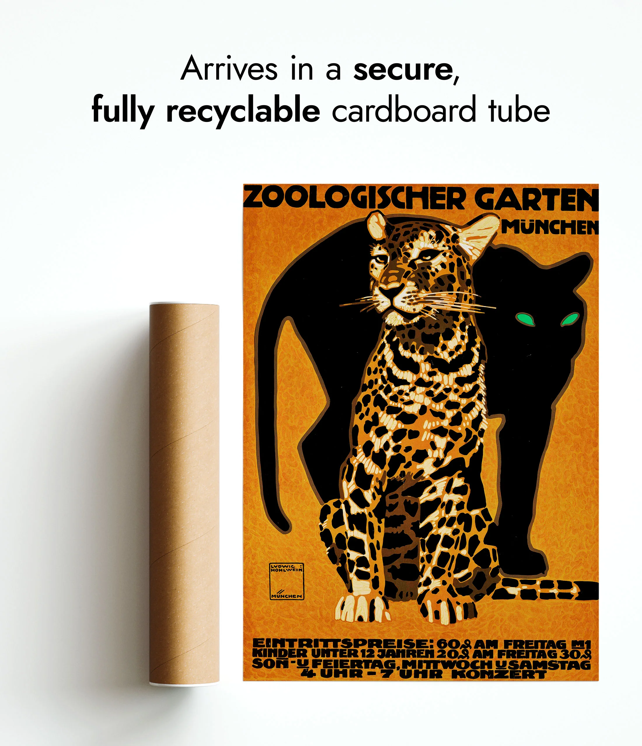 Zoo - Set of 3 - Image 10